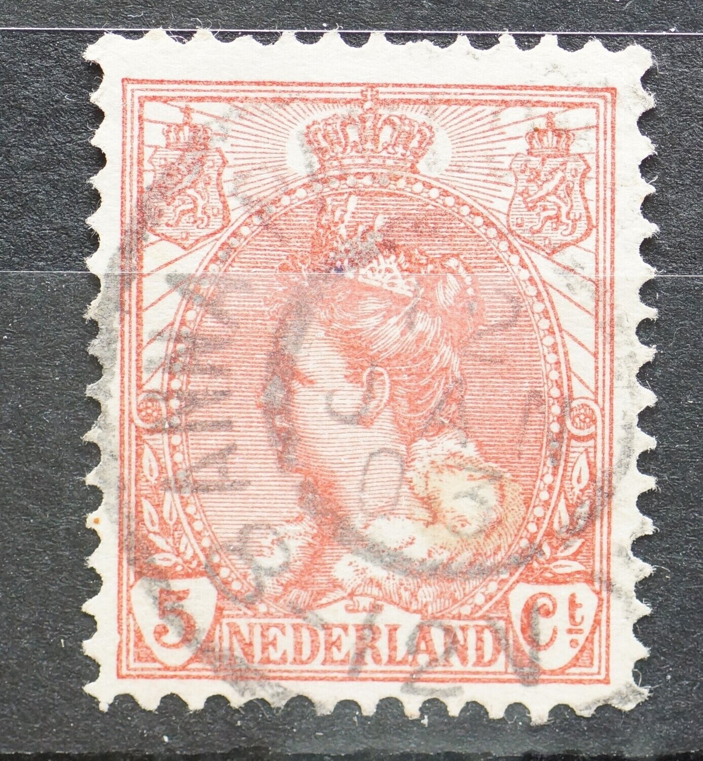 Anna-Paulownapolder op NVPH 60