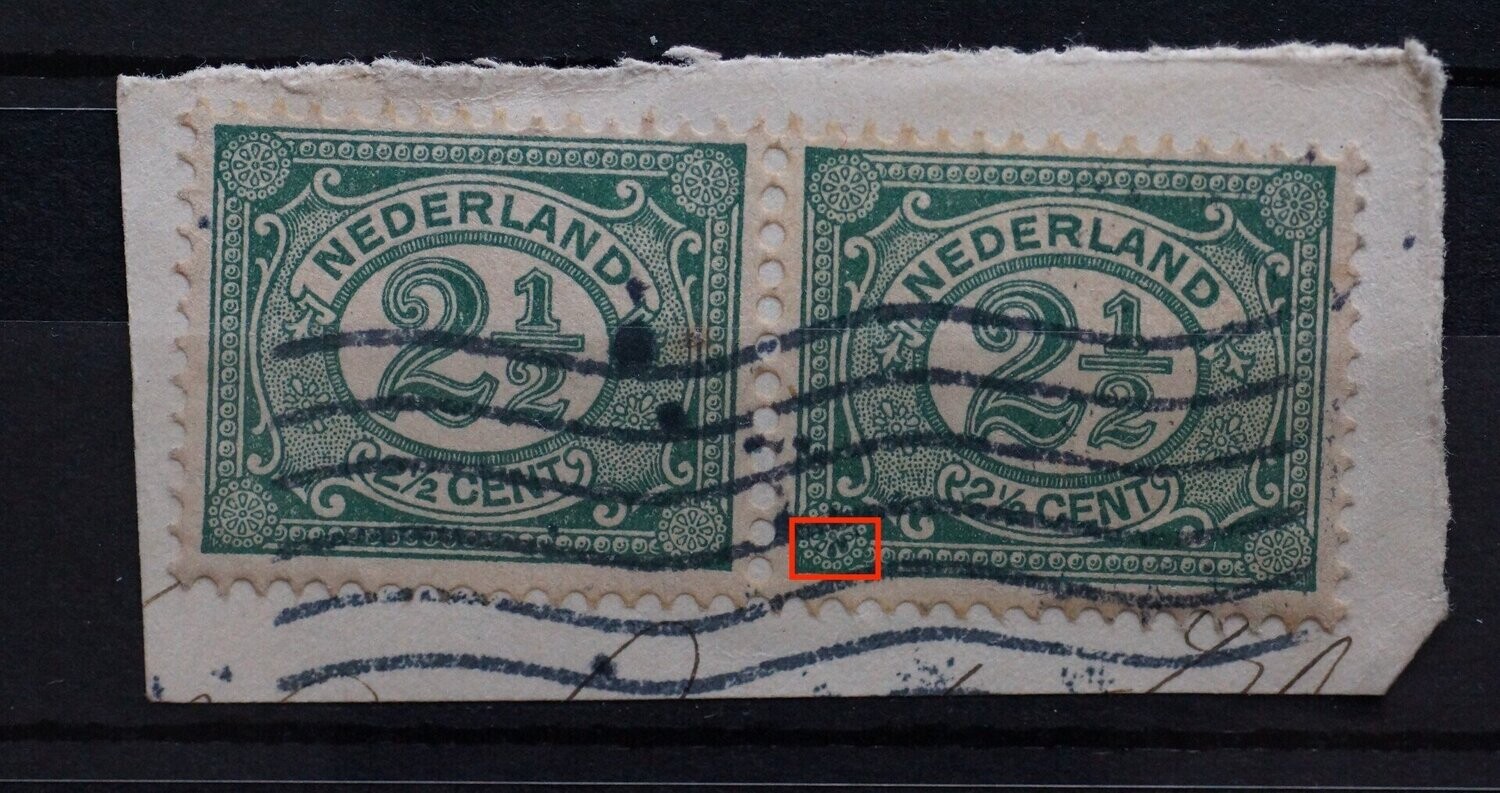 NVPH 55 (paar) - twee 'blaadjes' in rozet links onder zijn geheel groen (rechter zegel)