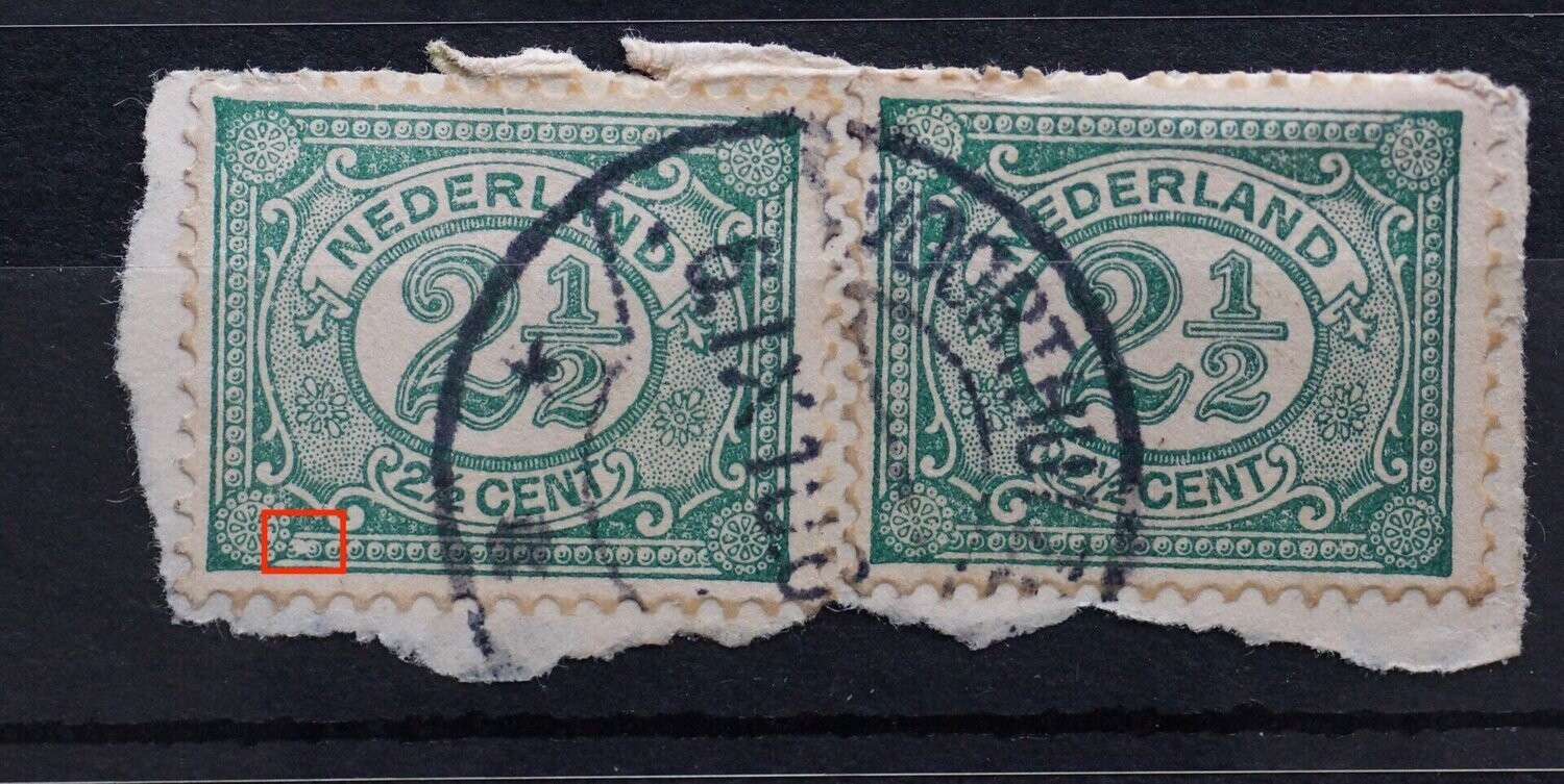 NVPH 55 (2x) - witte vlek in parelrand links  en witte steep door kaderlijn en parel boven de R van NEDERLAND (linker zegel)