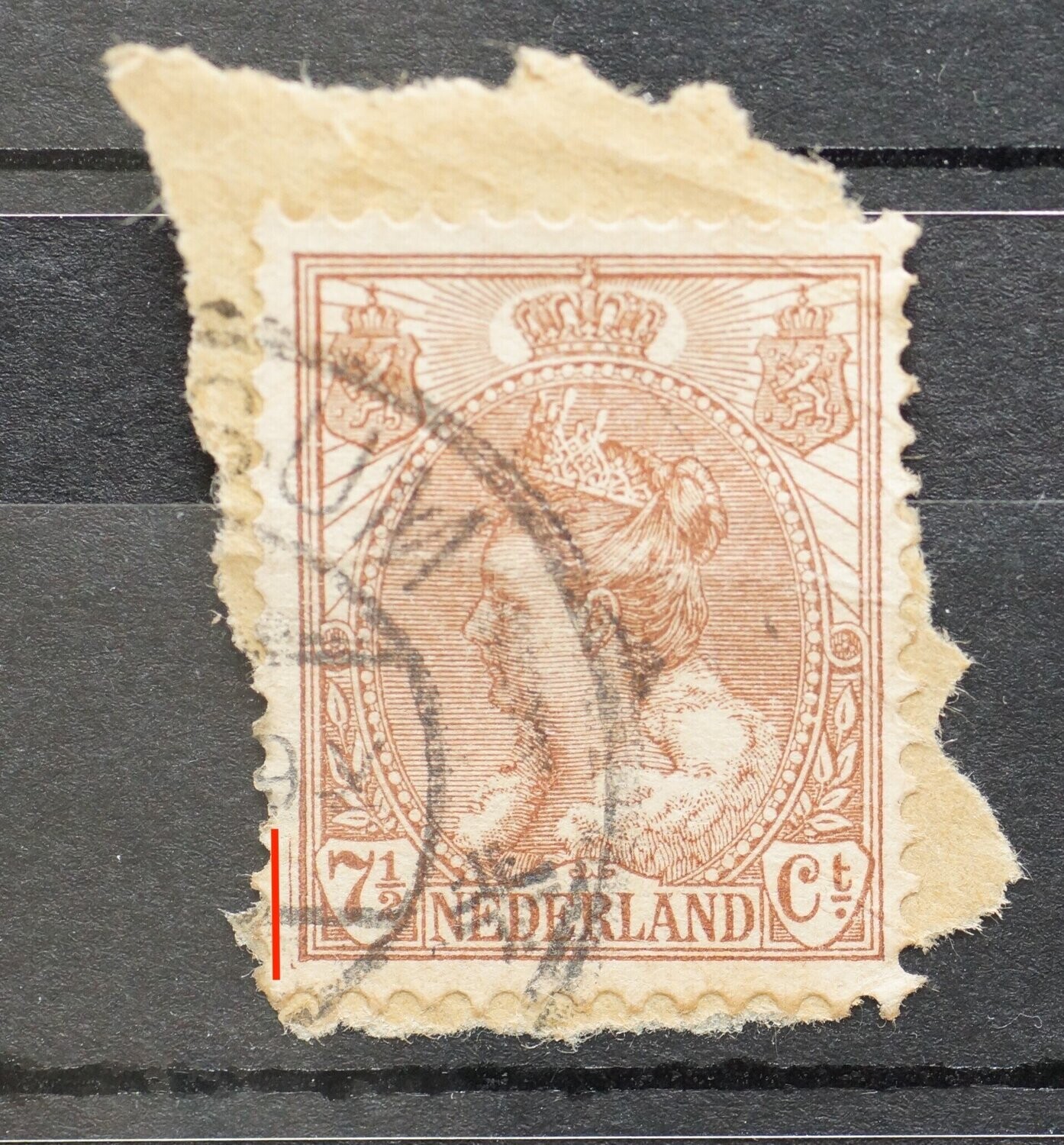 NVPH 61 - extra bruine lijn buiten zegelbeeld, links