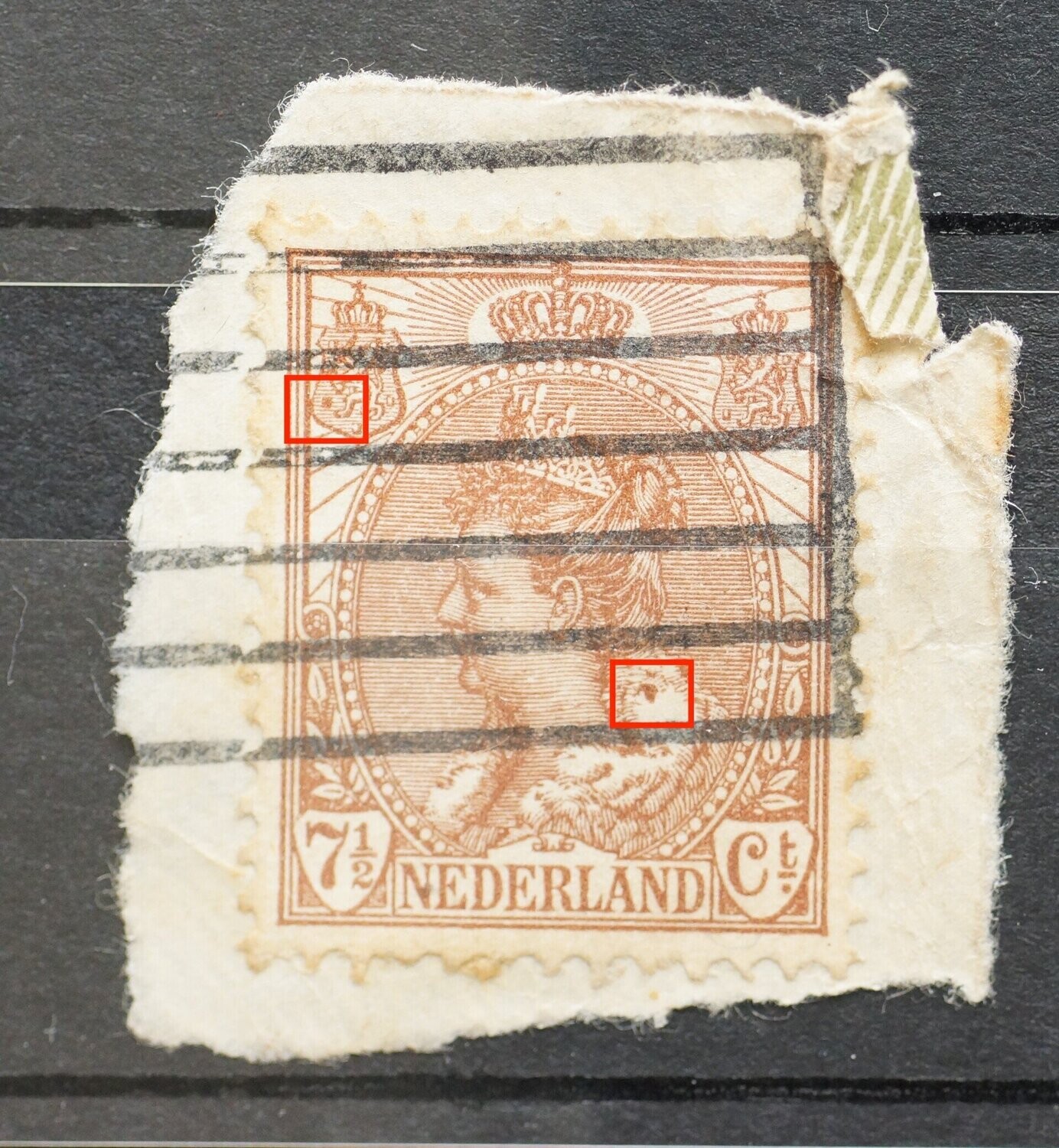 NVPH 61 - bruine vlek in bontkraag en in linker wapenschild