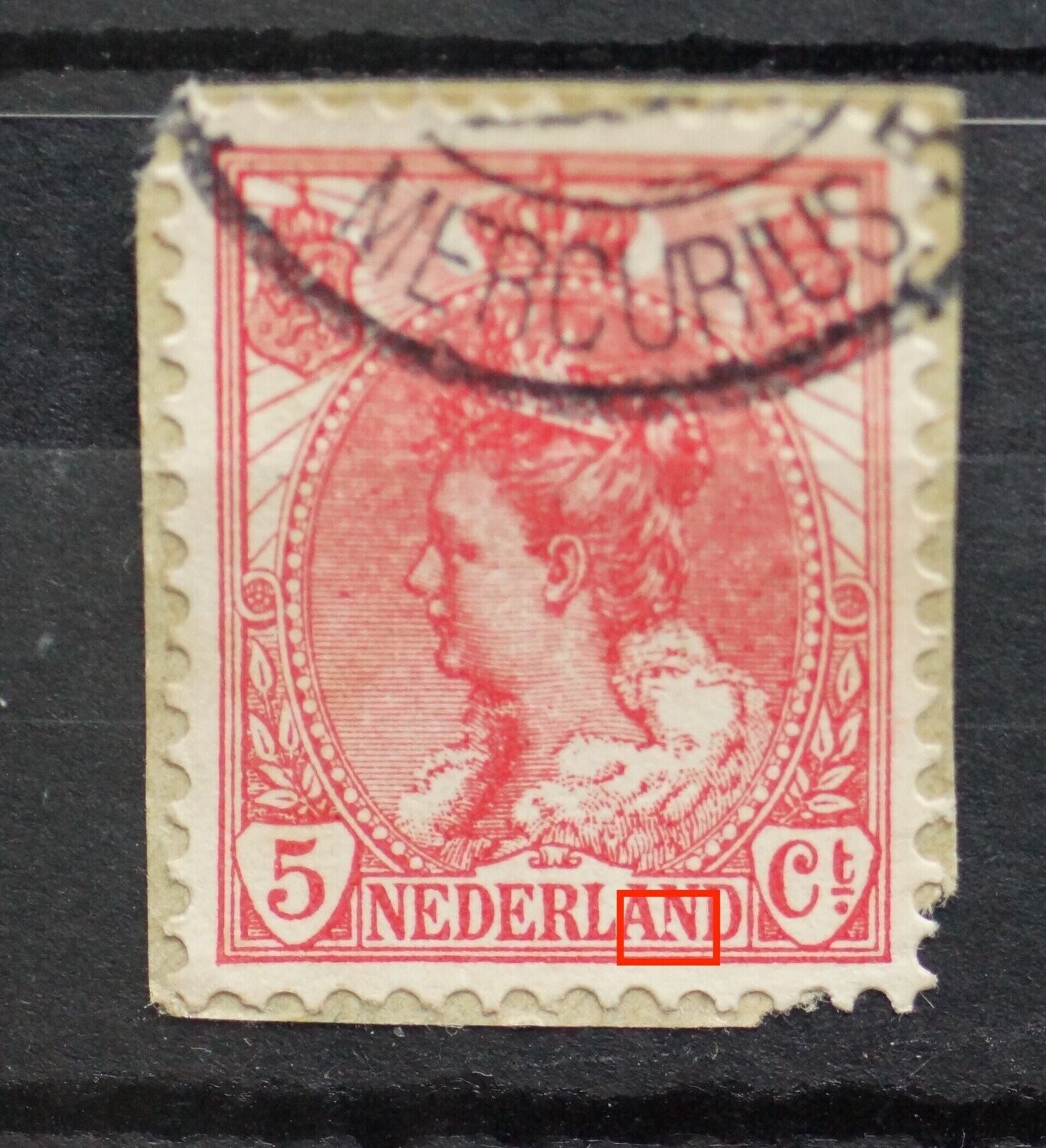 NVPH 60 - witte stip in linker poot tweede N van NEDERLAND