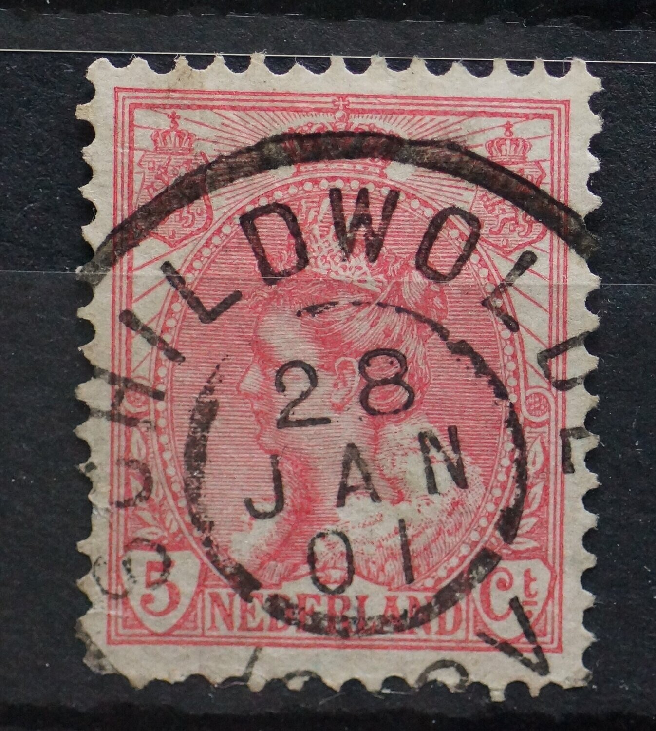 Schildwolde op NVPH 60