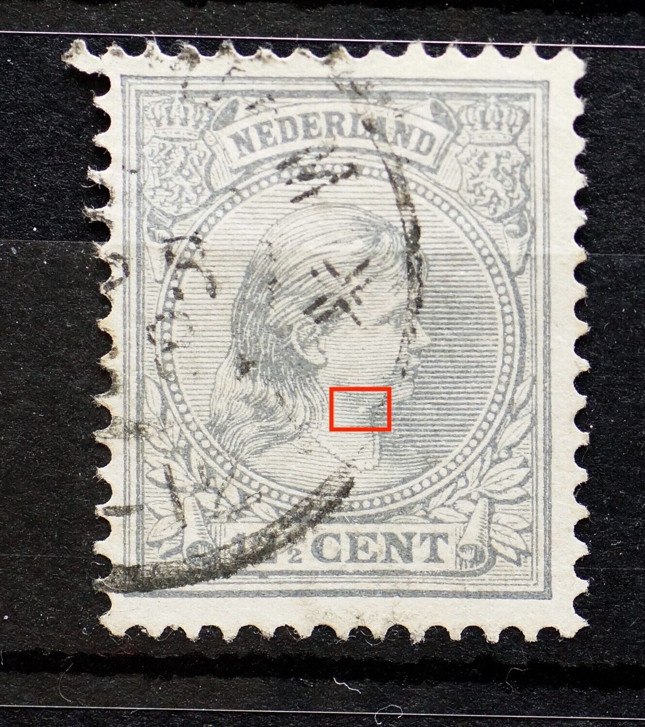 NVPH 38 - witte vlek in hals