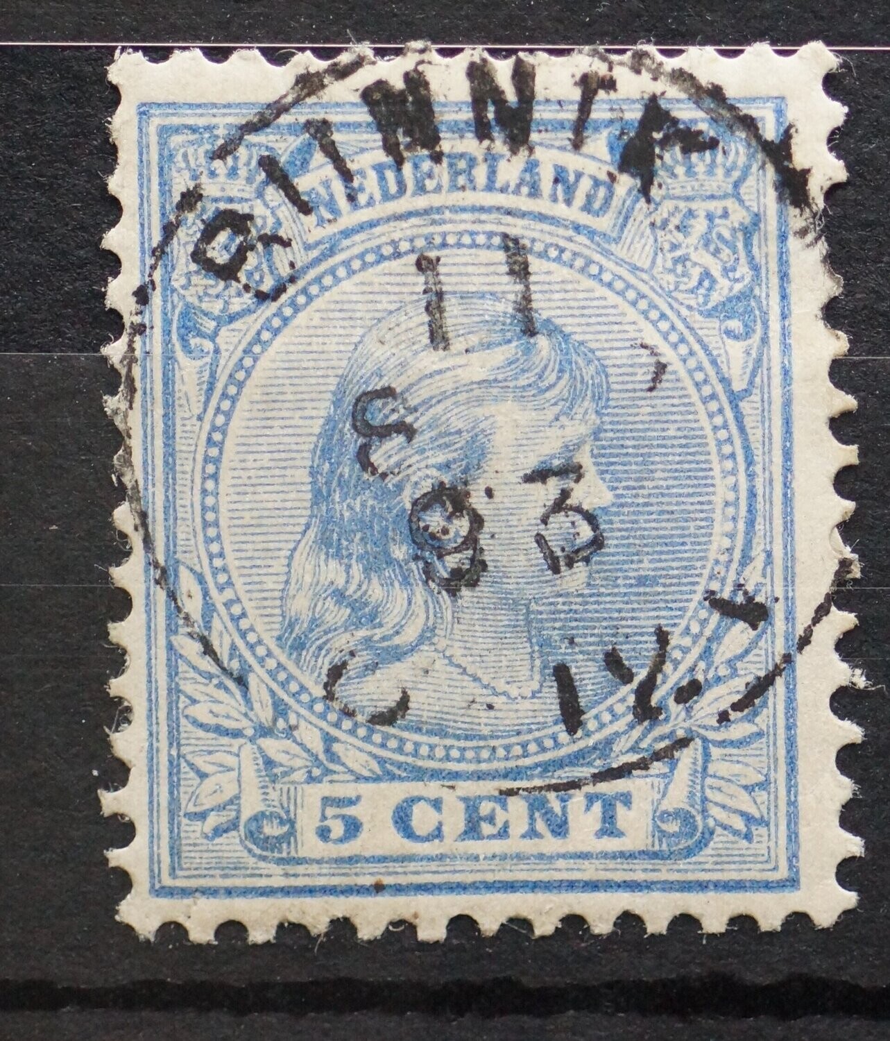 Bunnik op NVPH 35