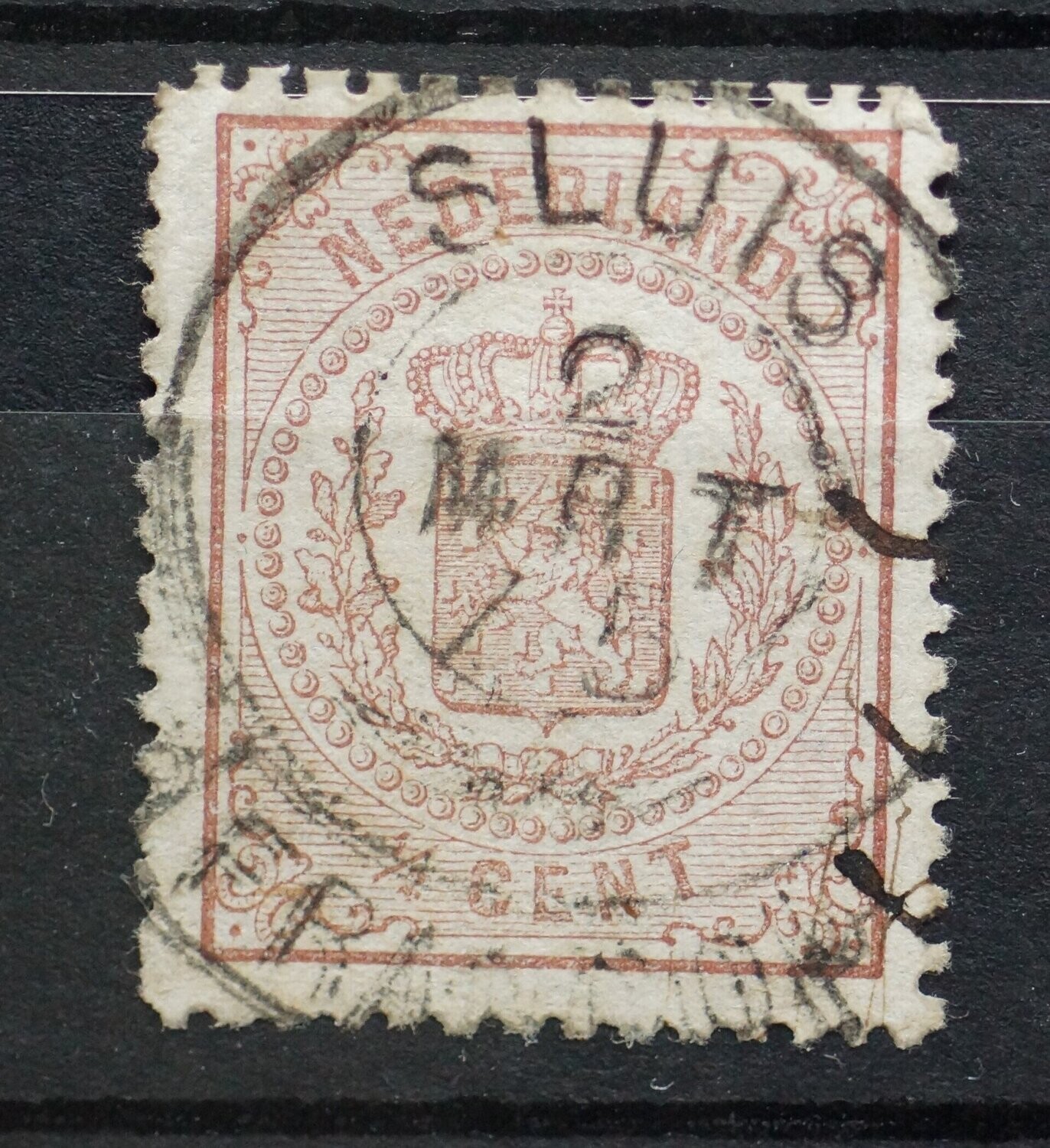 Francotakje Sluis op NVPH 13