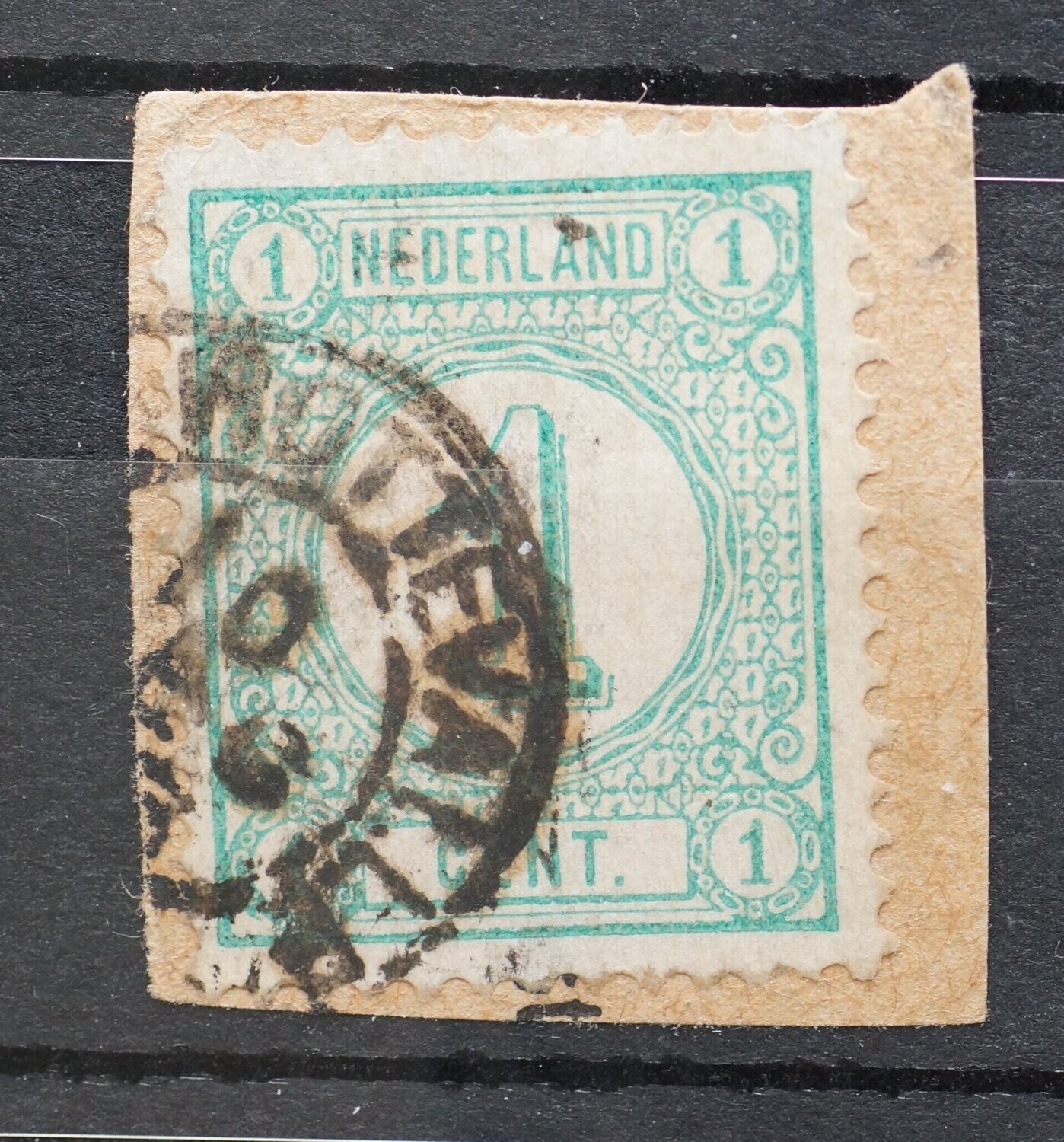 Rottevalle op NVPH 31