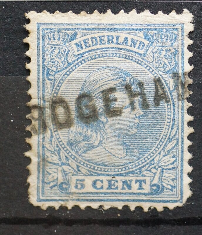 (D)rogeham op NVPH 35 (D)rogeham op NVPH 35