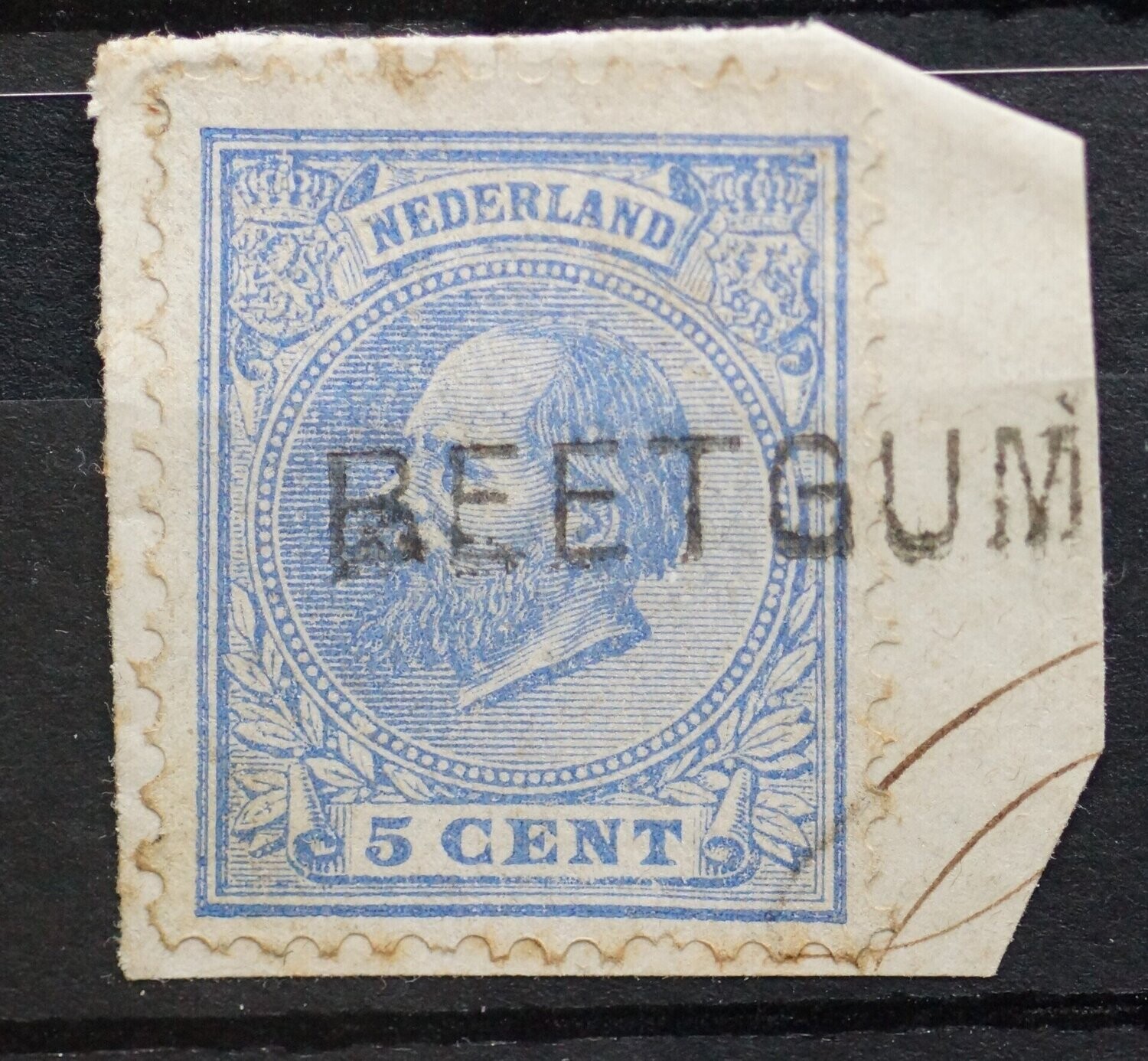 Beetgum op NVPH 19