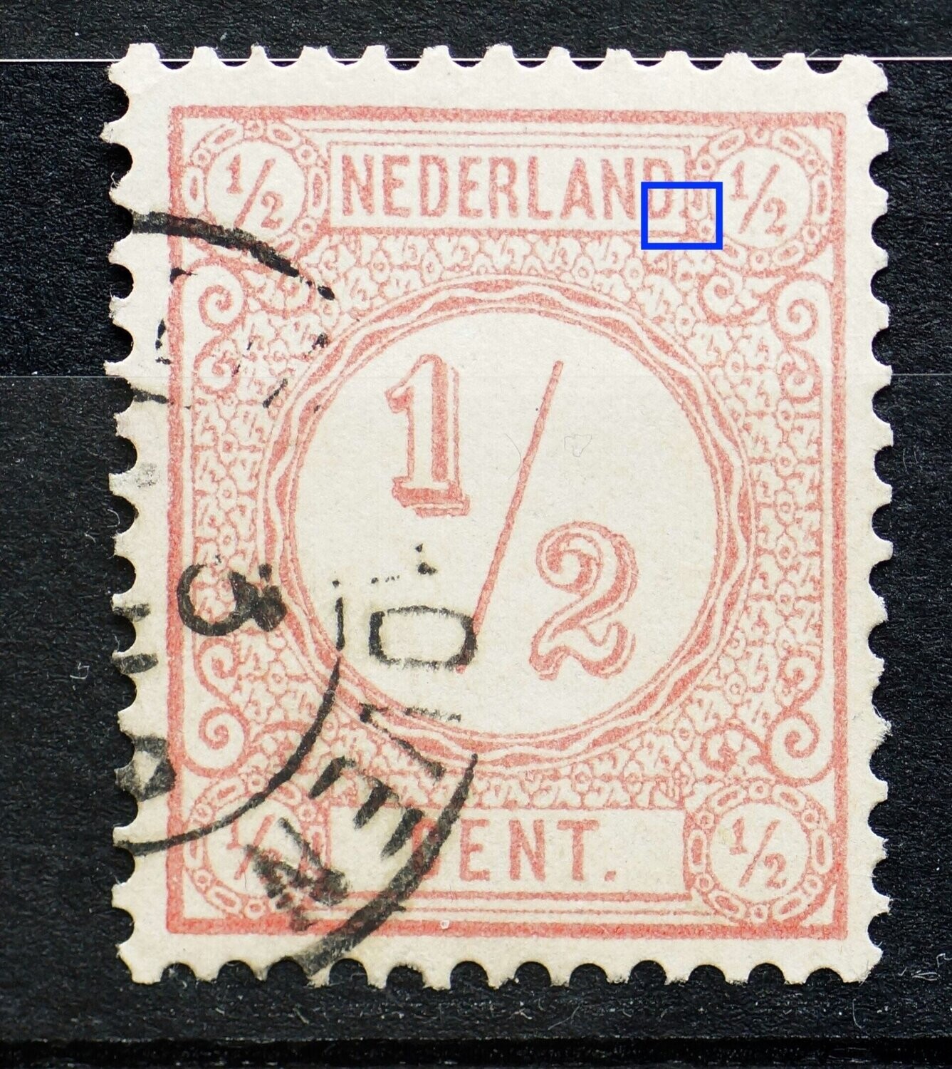 NVPH 30 - roze punt achter NEDERLAND