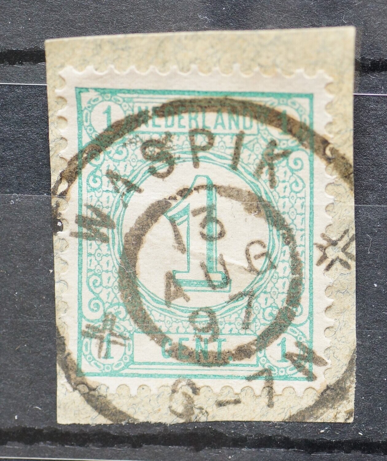 Waspik op NVPH 31