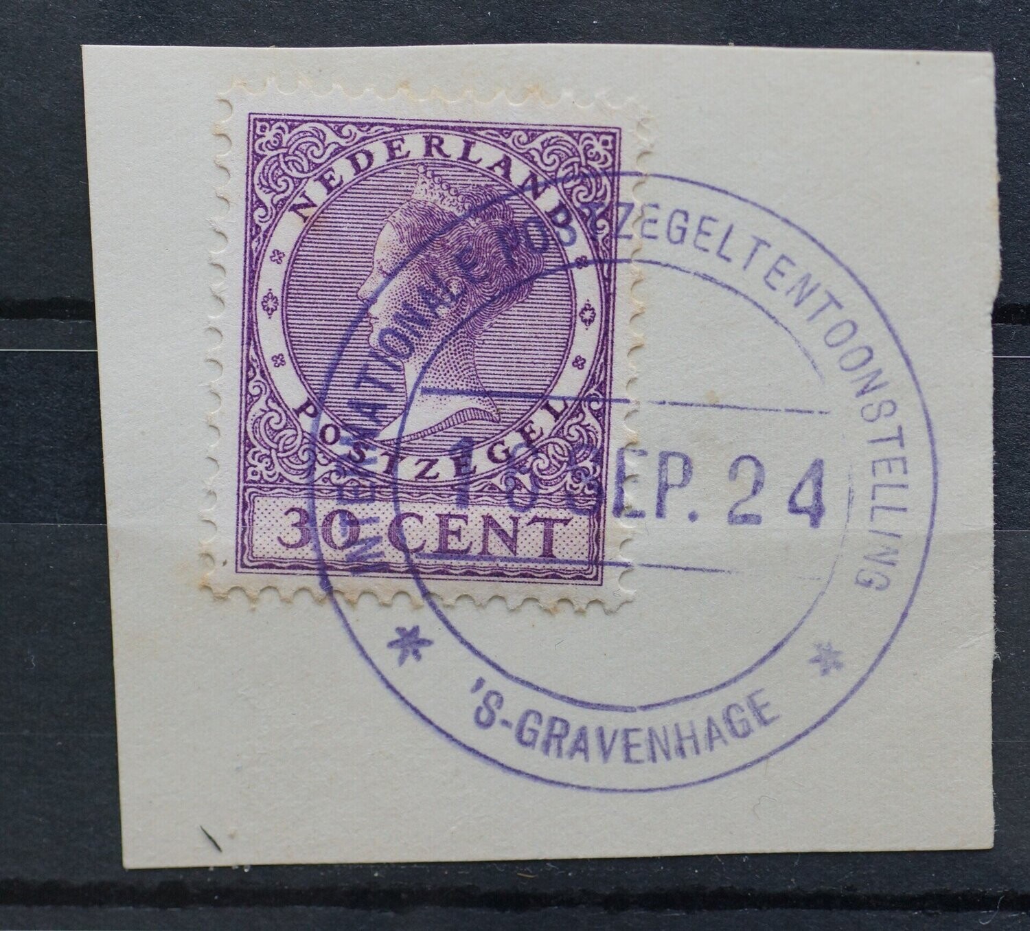 Reclamehandstempel Int. Postzegeltentoonstelling Den Haag op NVPH 158 Reclamehandstempel Int. Postzegeltentoonstelling Den Haag op NVPH 158