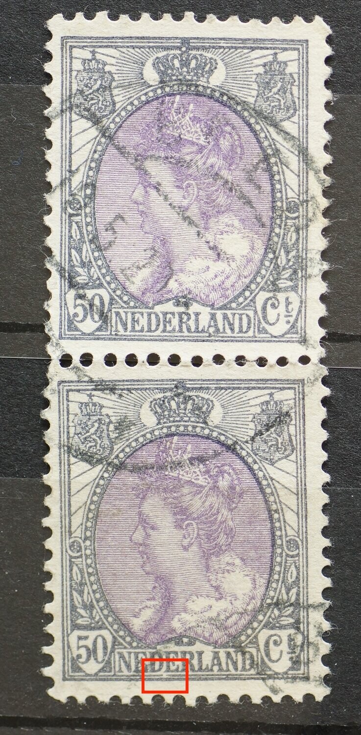 NVPH 75 (paar) - o.a. breuk in kaderlijn onder DE van NEDERLAND (onderste zegel)