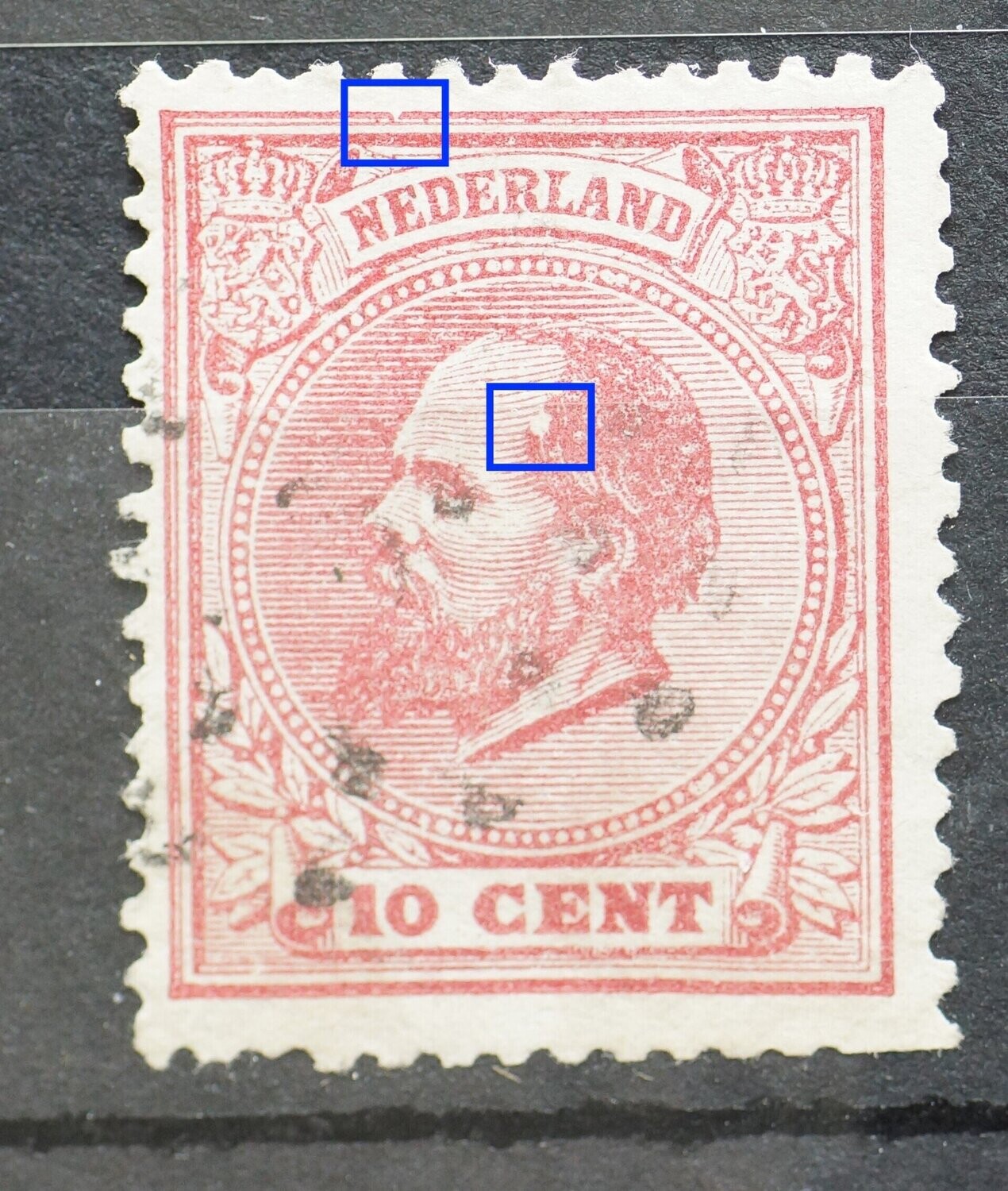 NVPH 21 - witte vlek in het haar NVPH 21 - witte vlek in het haar