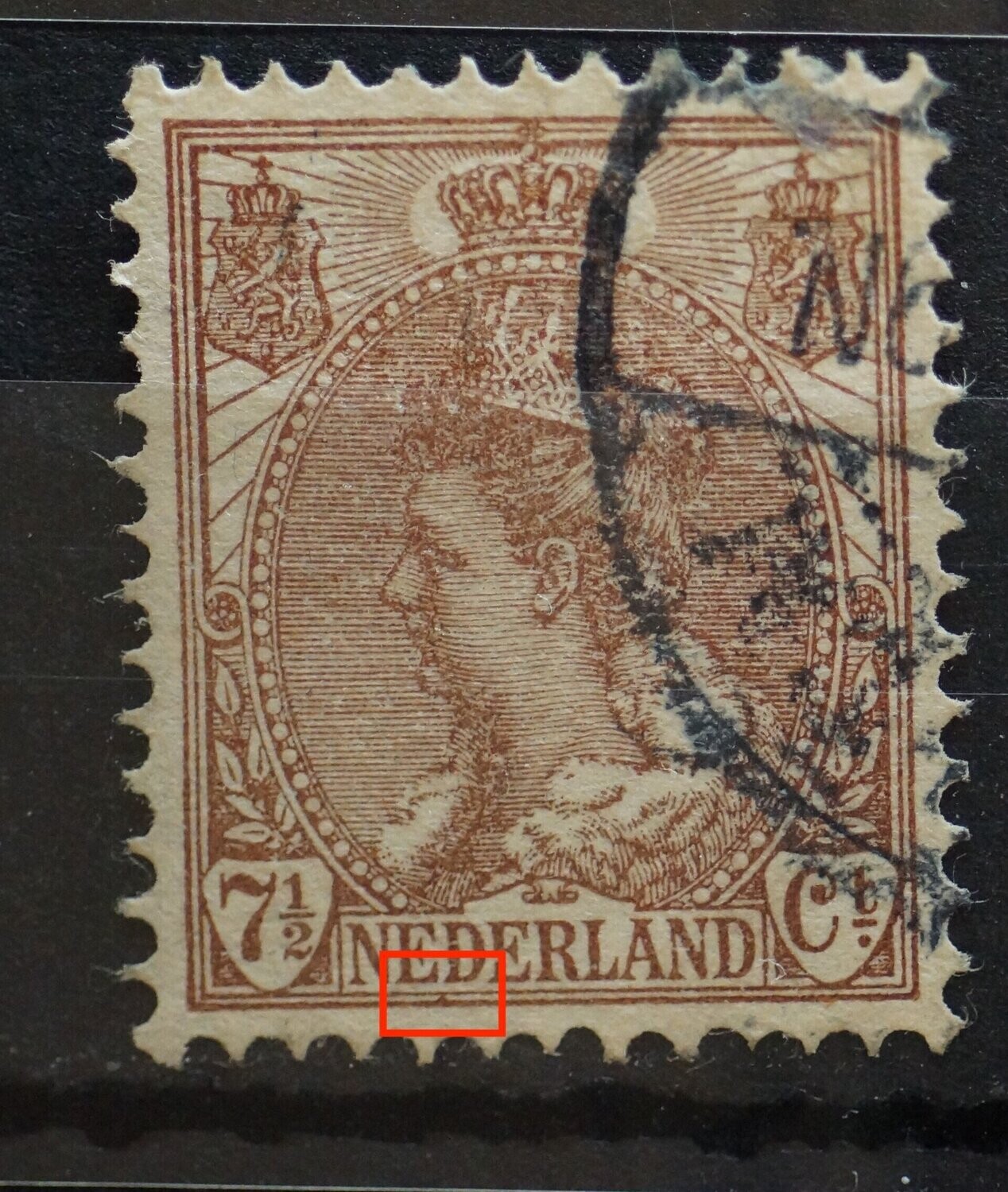 NVPH 61 - bruine punt onder ED van NEDERLAND