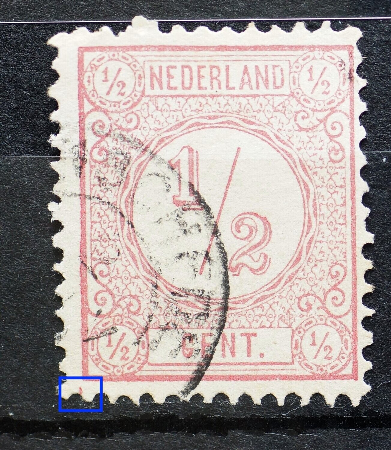 NVPH 30 - roze 'druppel' linksonder het zegelbeeld