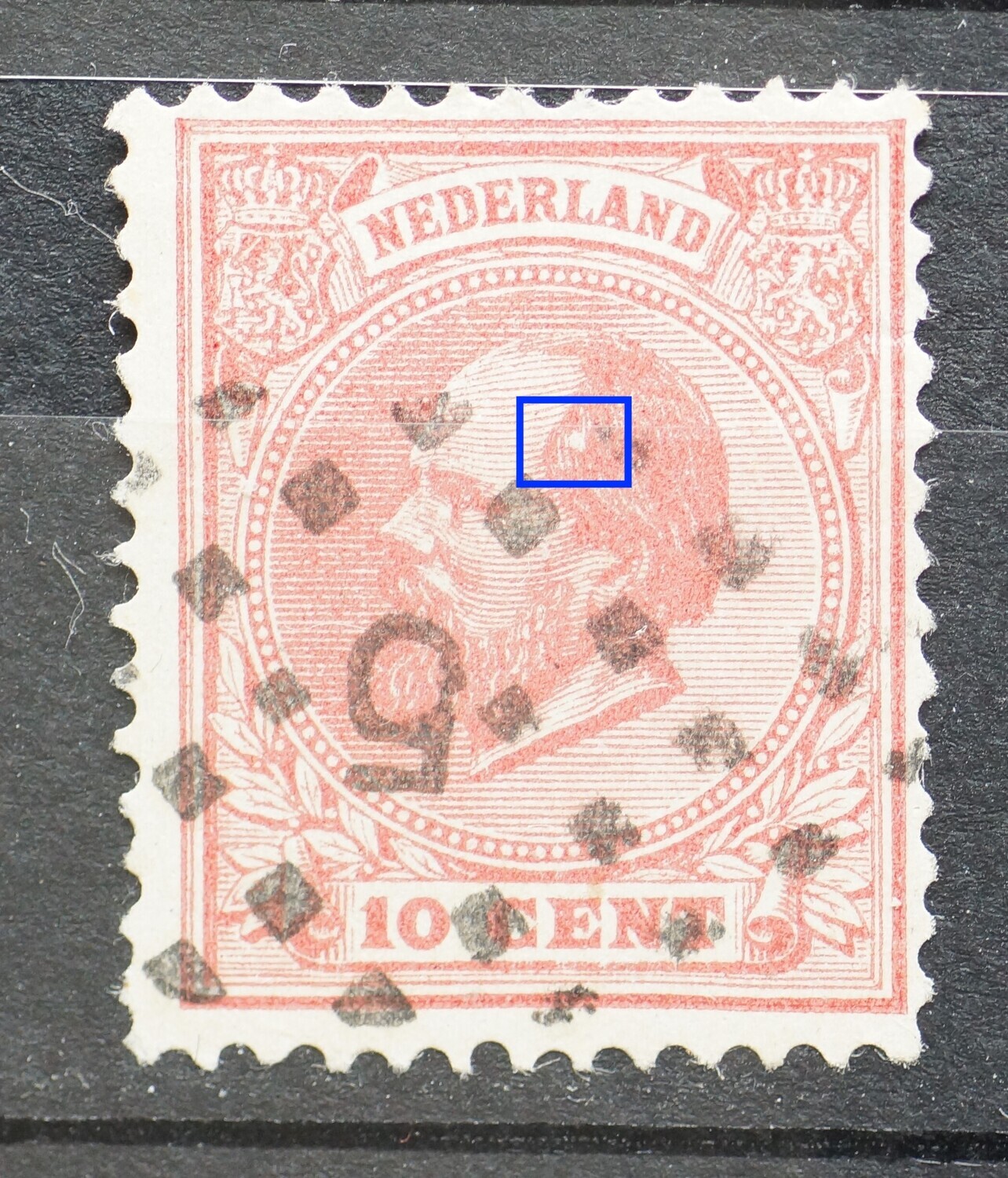 NVPH 21 - witte vlek in het haar NVPH 21 - witte vlek in het haar