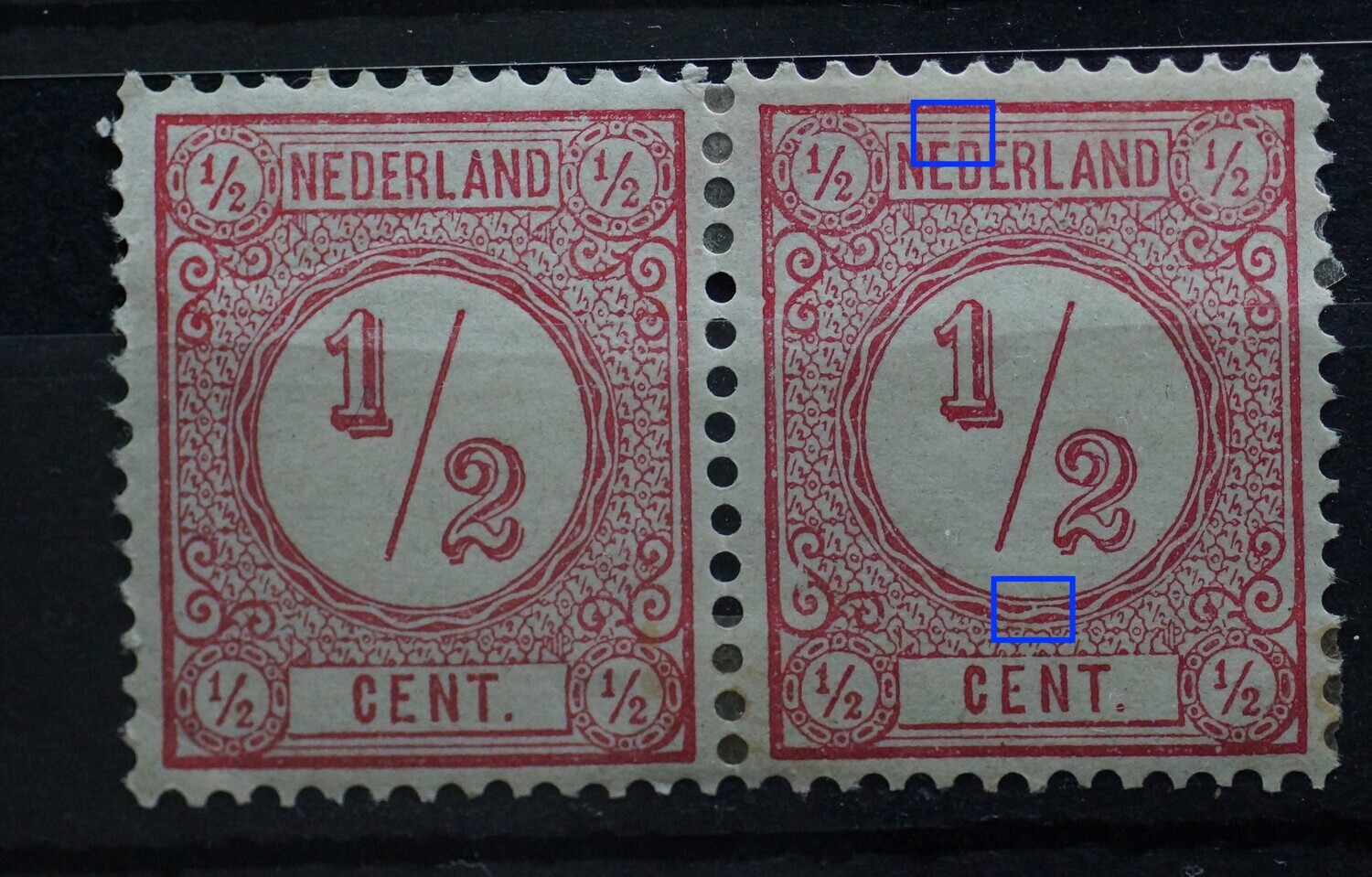 NVPH 30 (paar) - o.a. breuk in kaderlijn boven en wit strepje in rand medaillon (rechter zegel)