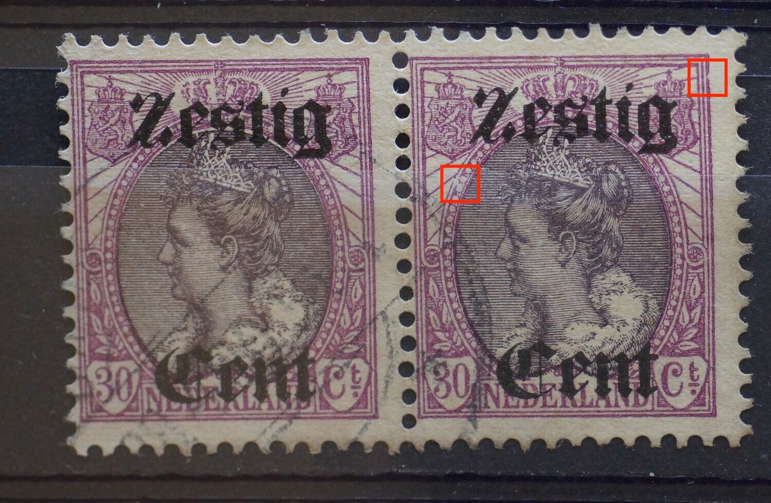 NVPH 103 (paar) - o.a. witte vlek in rand medaillon links (rechter zegel)