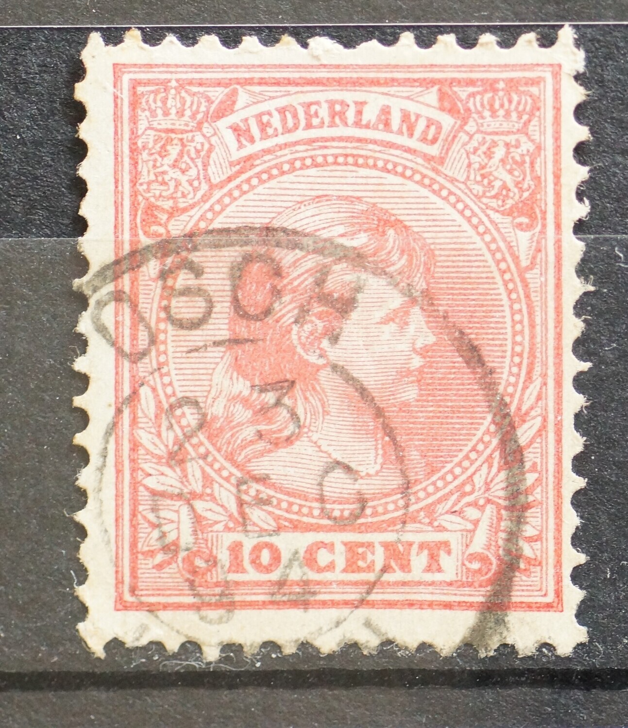 Osch op NVPH 37