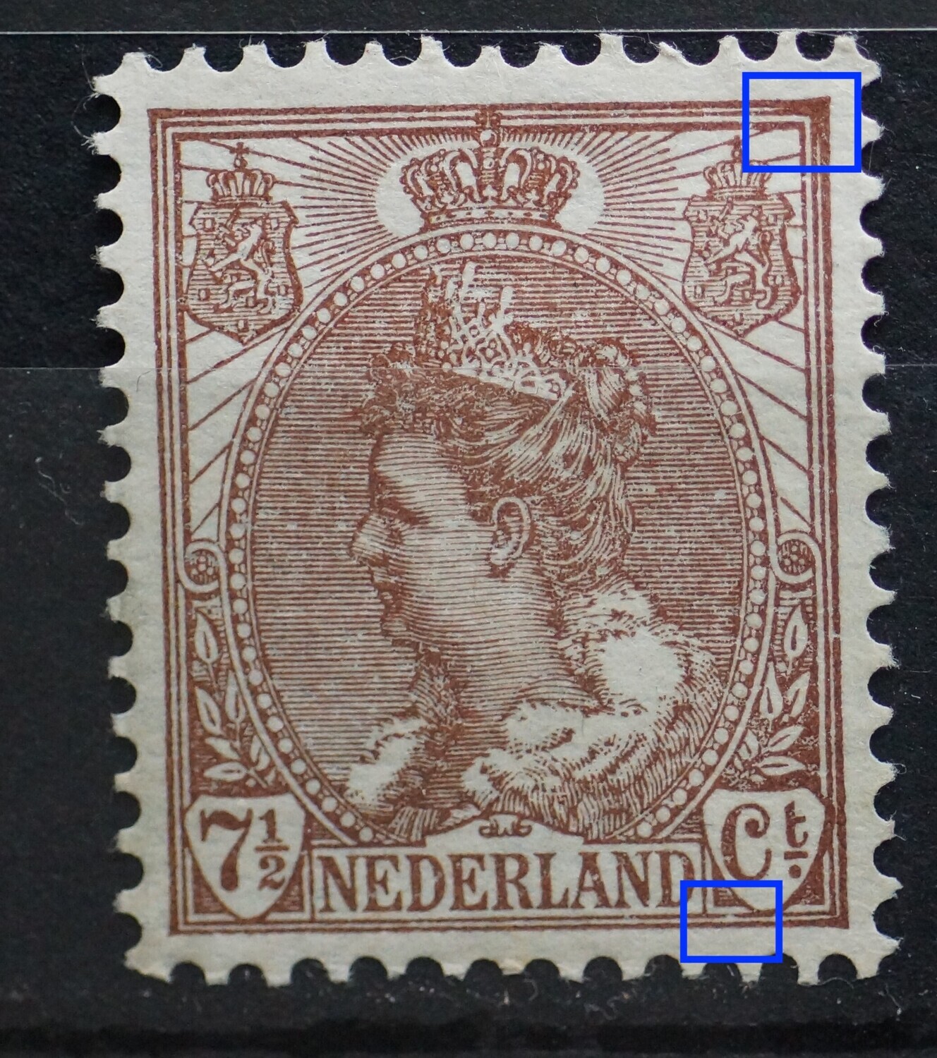 NVPH 61 - o.a. breuk in kaderlijn onder Ct.