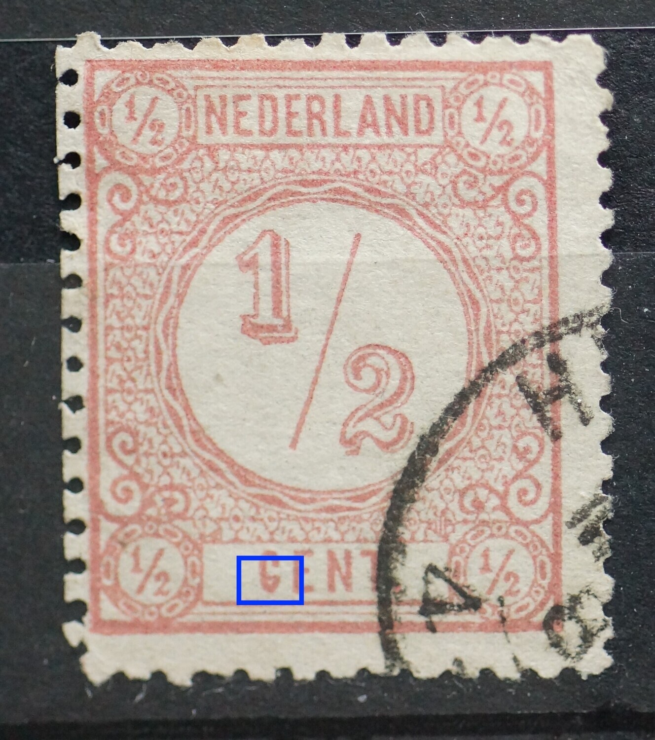 NVPH 30 - rose punt in de C van CENT