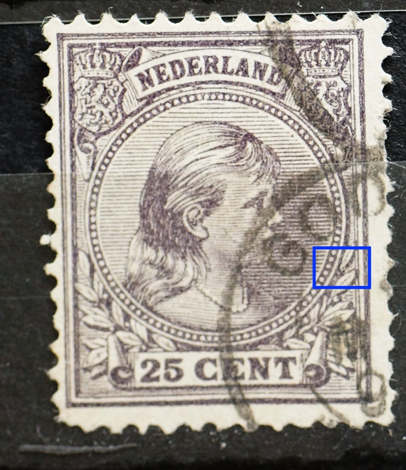 NVPH 42 - violette punt in witte kring onder blad rechts NVPH 42 - violette punt in witte kring onder blad rechts