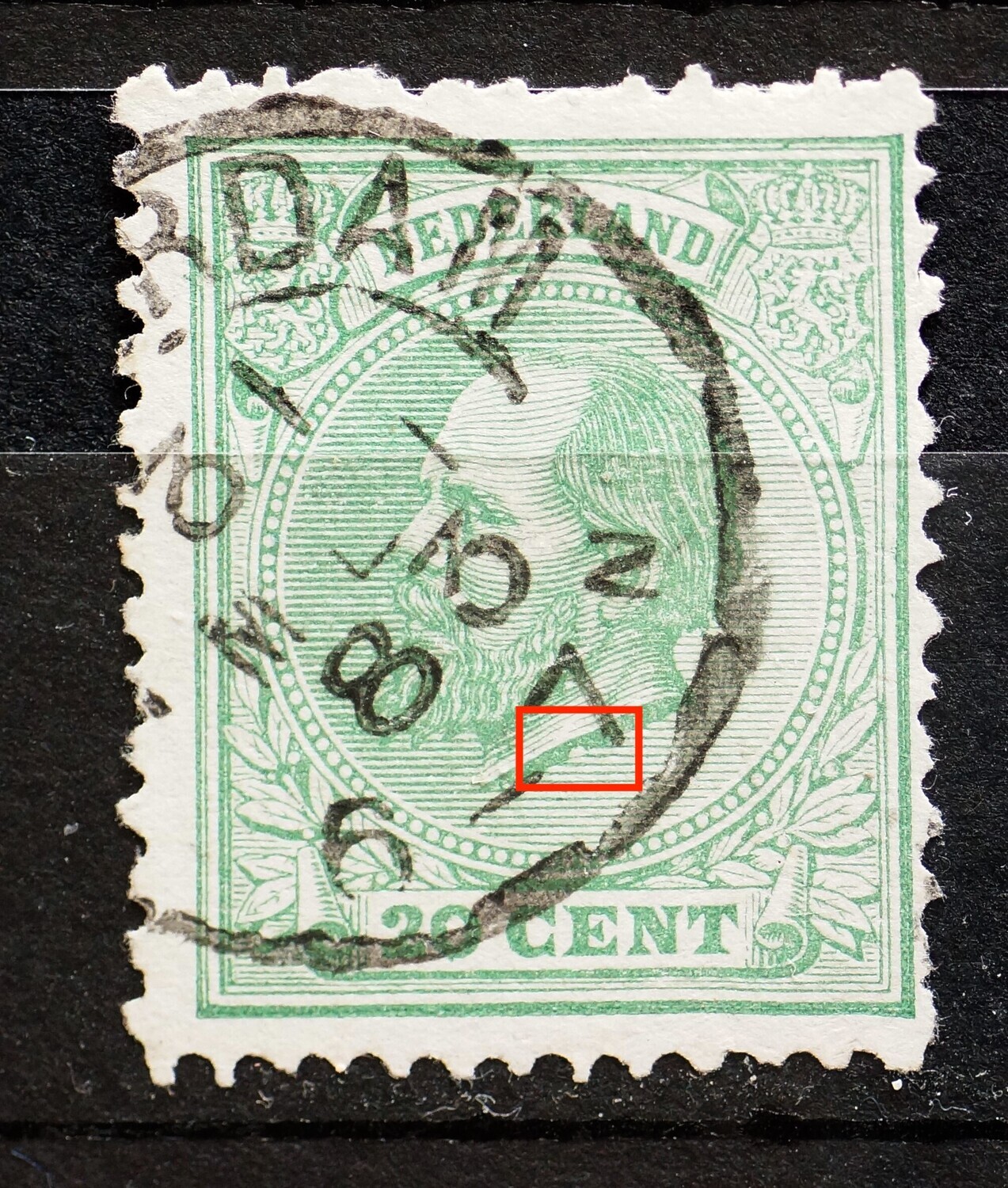 NVPH 24 - witte vlek onder de hals