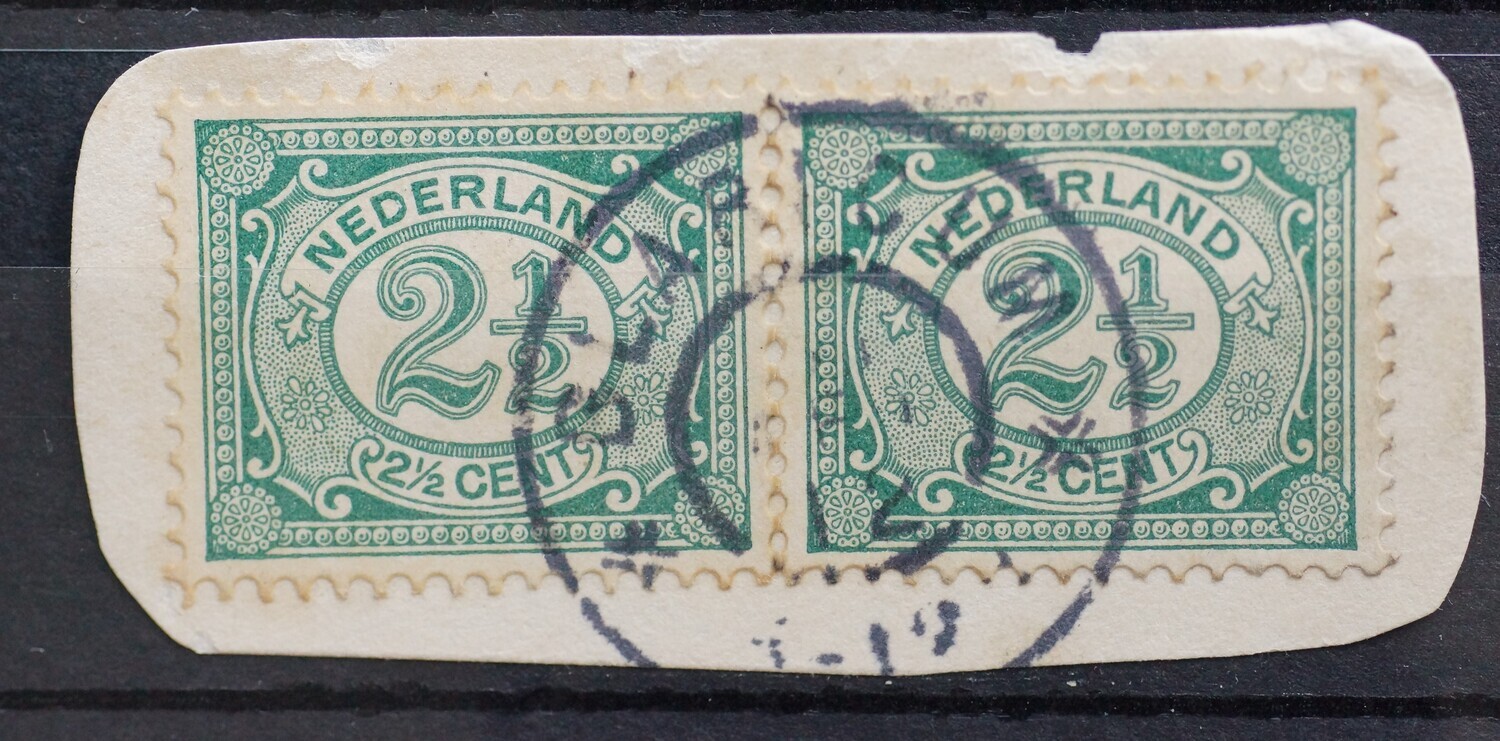 Blaricum op NVPH 55 (paar)