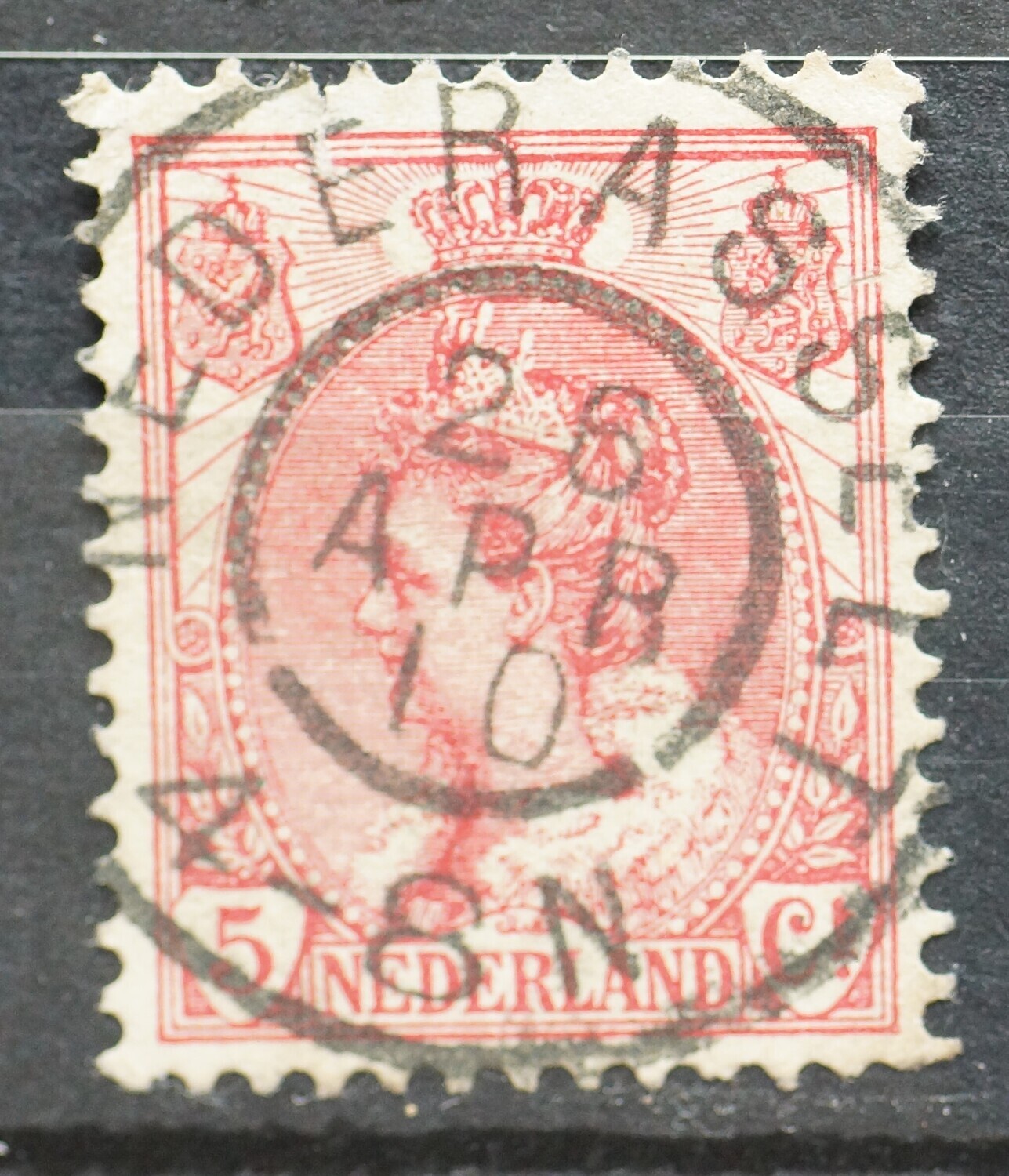 Nederasselt op NVPH 60