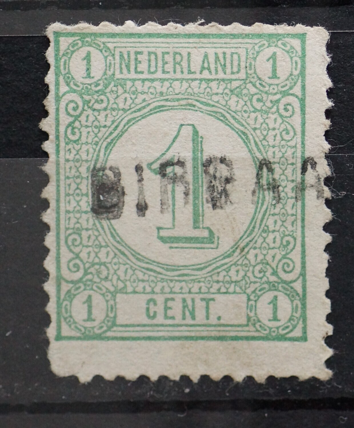Birdaard op NVPH 31