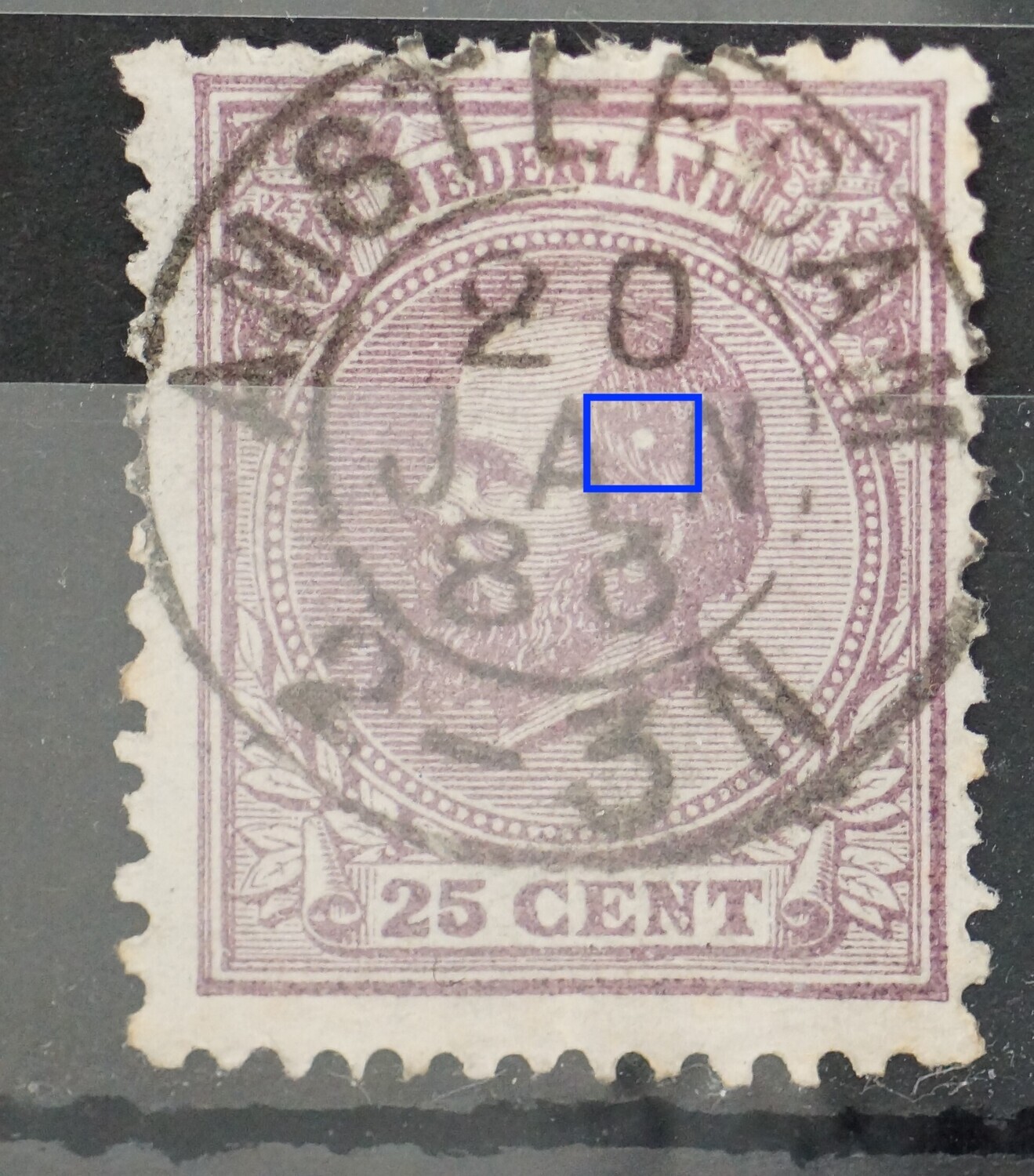 NVPH 26 - witte vlek in het haar