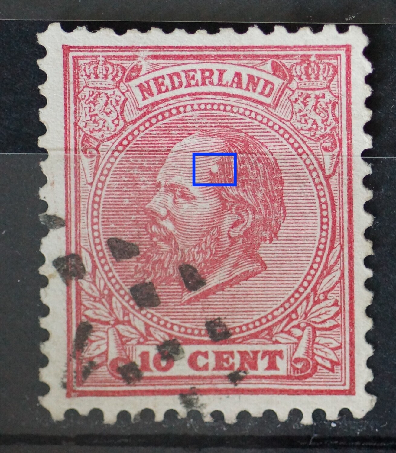 NVPH 21 - witte vlek in het haar NVPH 21 - witte vlek in het haar