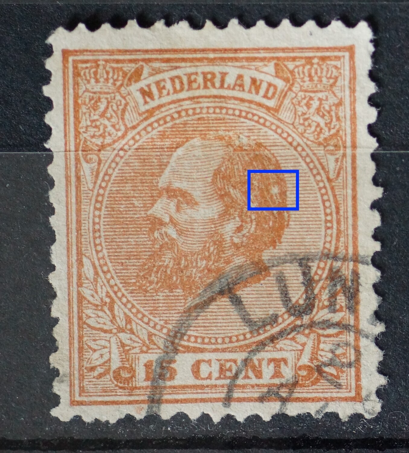 NVPH 23 - witte vlek in het haar NVPH 23 - witte vlek in het haar