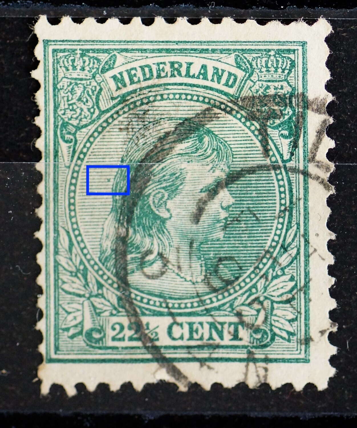 NVPH 41 - donkergroene "v" / punt in arcering achter het hoofd