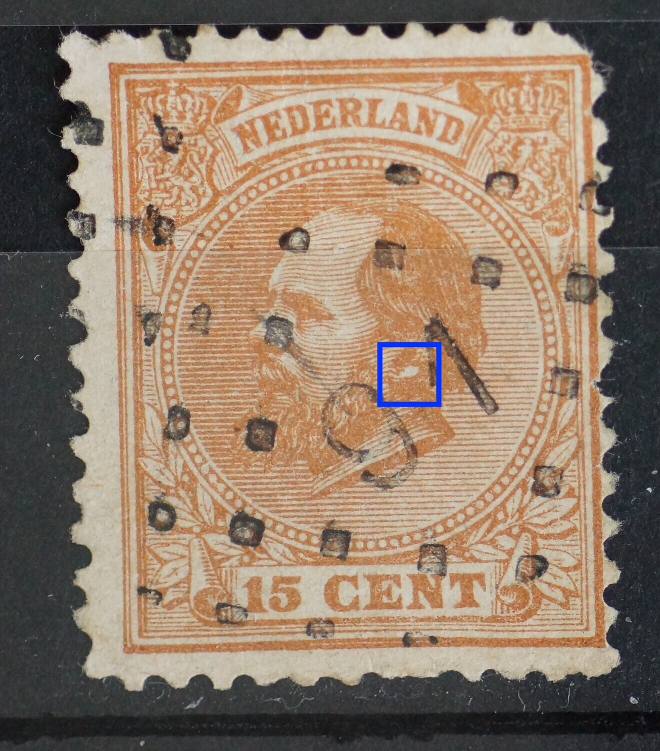 NVPH 23 - witte vlek bij het oor NVPH 23 - witte vlek bij het oor