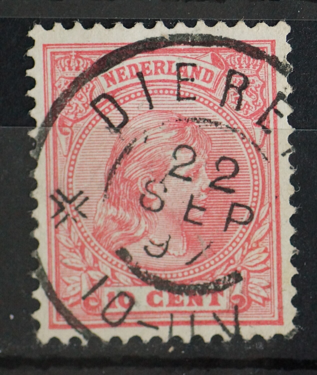 Dieren op NVPH 37