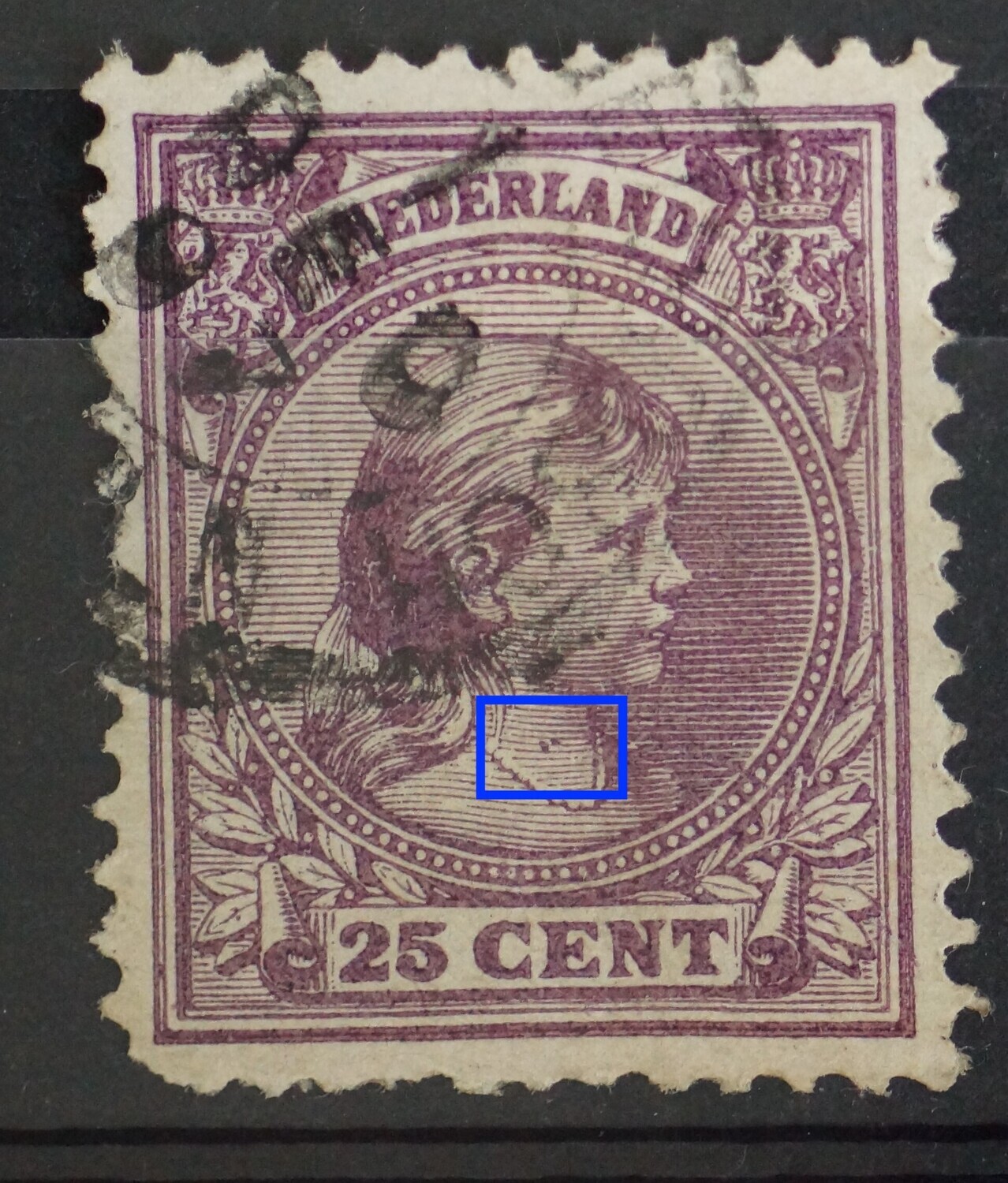 NVPH 42 - twee violette stippen in de hals