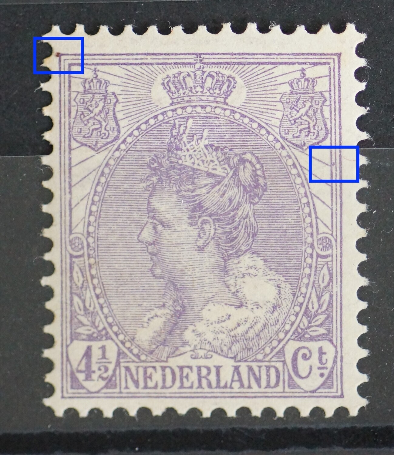 NVPH 59 - o.a. violette stip tussen kaderlijnen rechts NVPH 59 - o.a. violette stip tussen kaderlijnen rechts