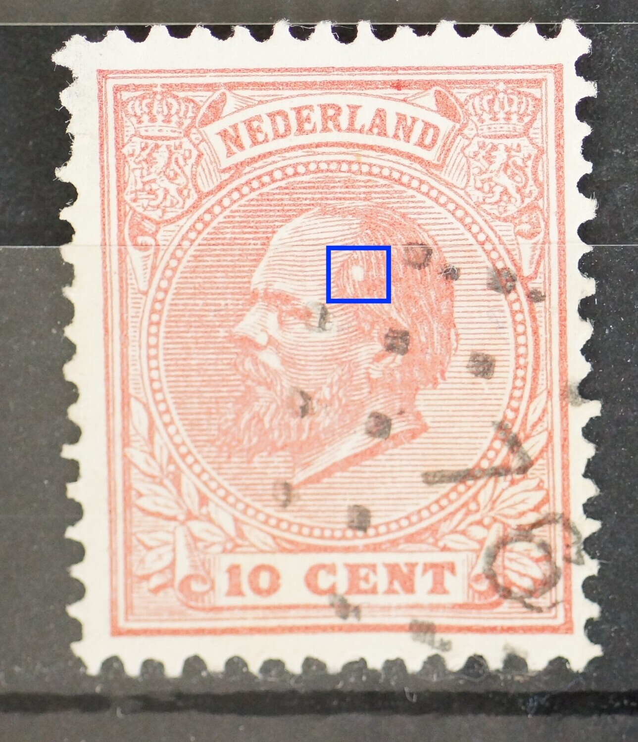 NVPH 21 - witte vlek in het haar NVPH 21 - witte vlek in het haar