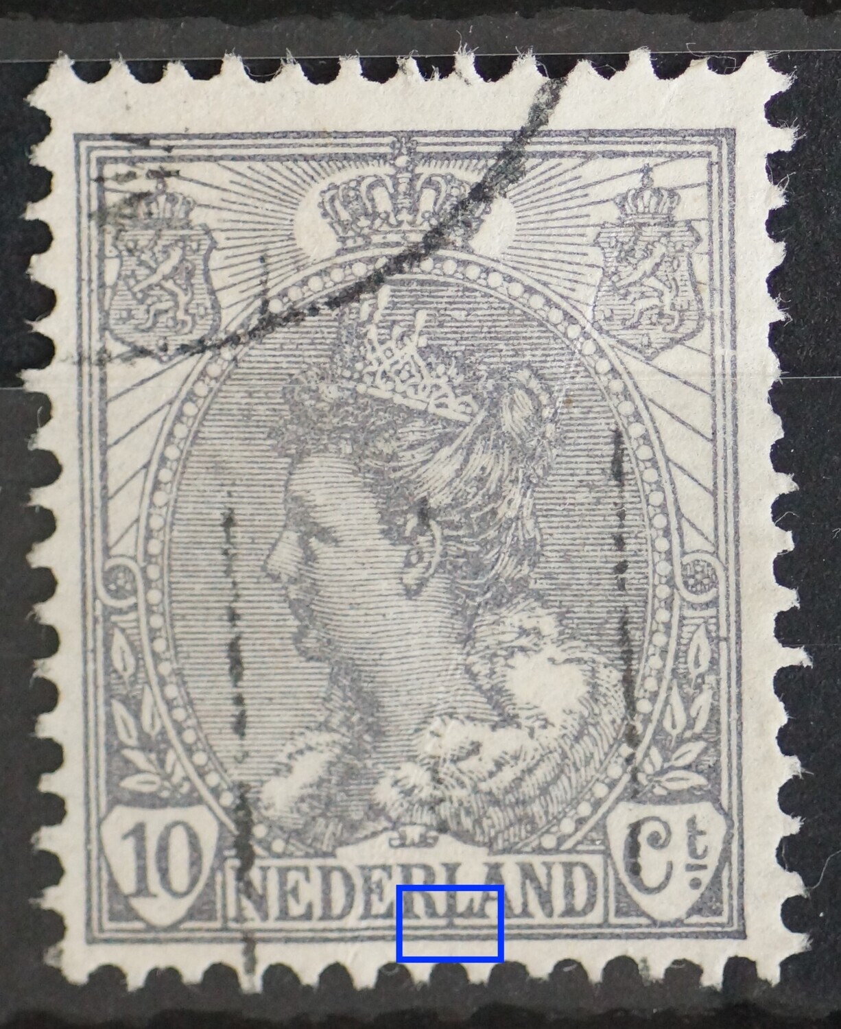 NVPH 62 - grijze punt onder de L van NEDERLAND
