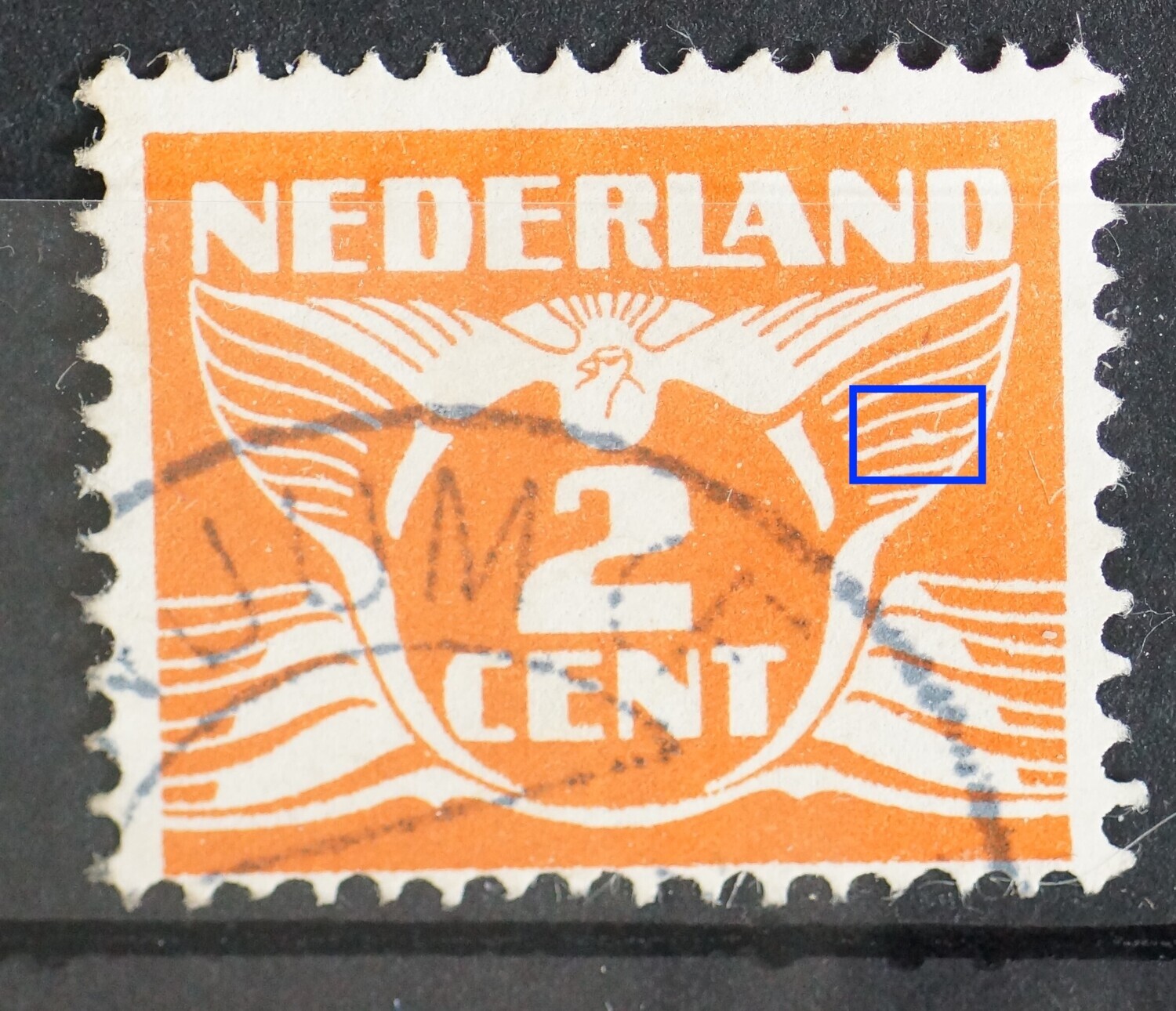 NVPH 145 - witte vlek onder de vleugel, rechts