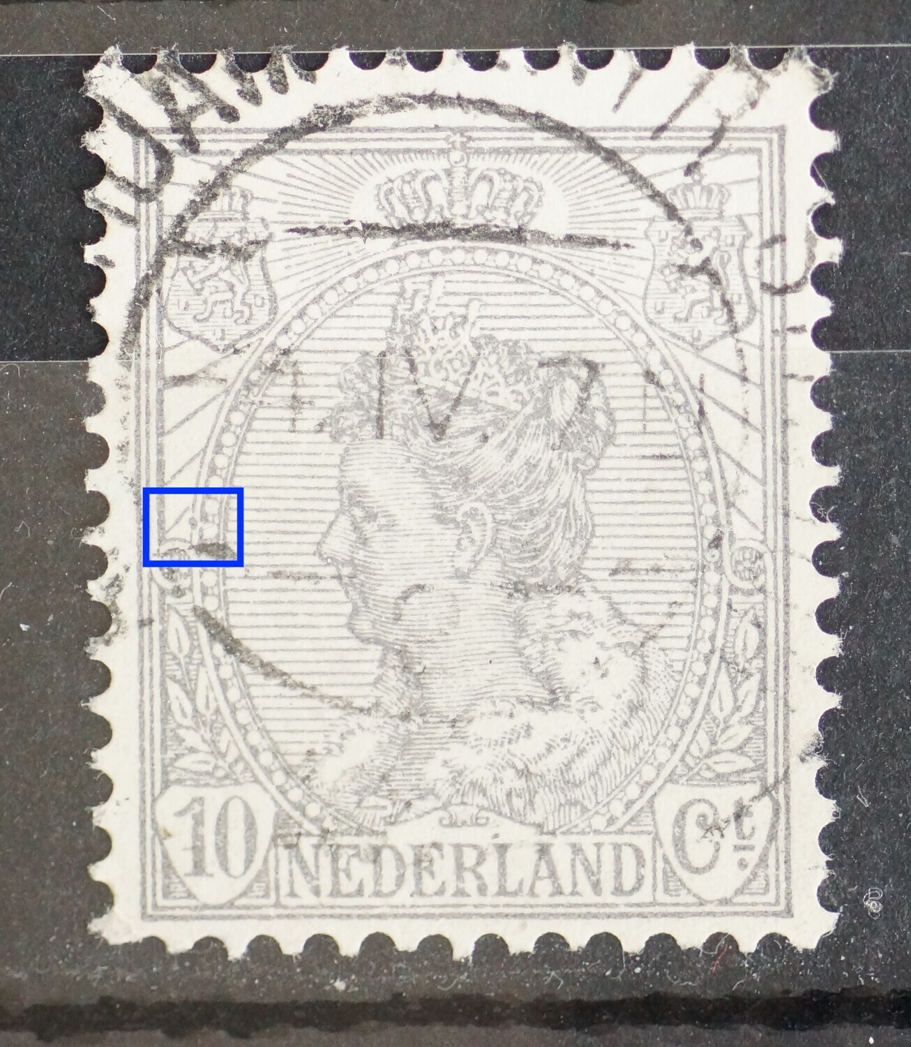 NVPH 81 - grijze punt in parelrand links