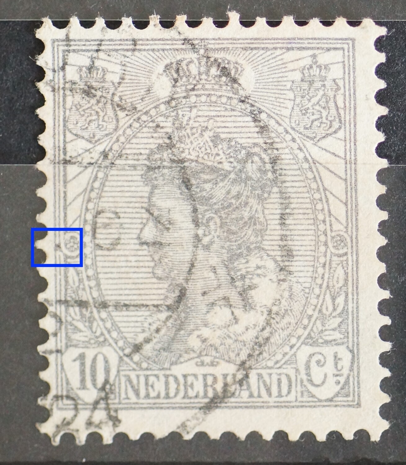 NVPH 81 - grijze vlek naast linker rozet