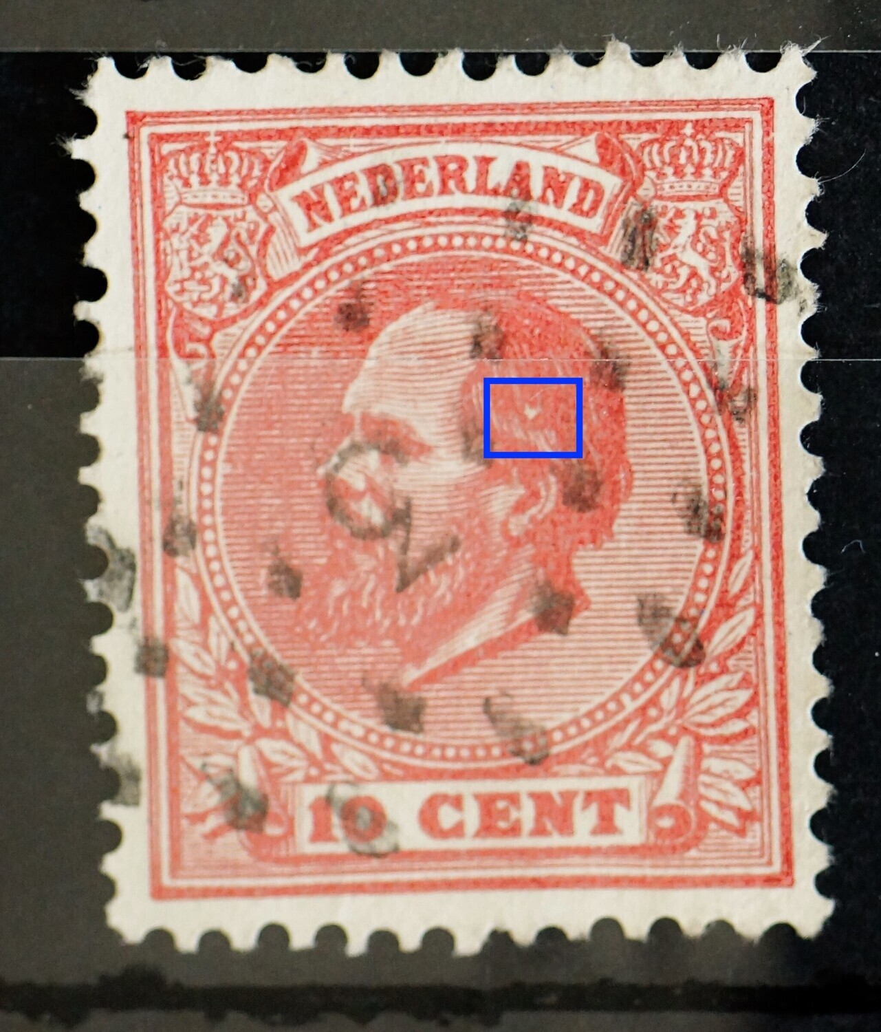 NVPH 21 - witte vlek in het haar NVPH 21 - witte vlek in het haar