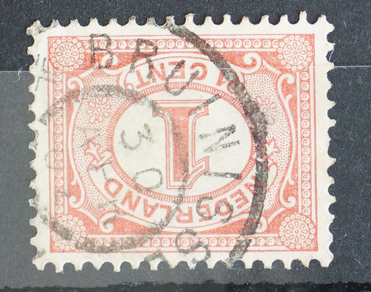 Bruinisse op NVPH 51