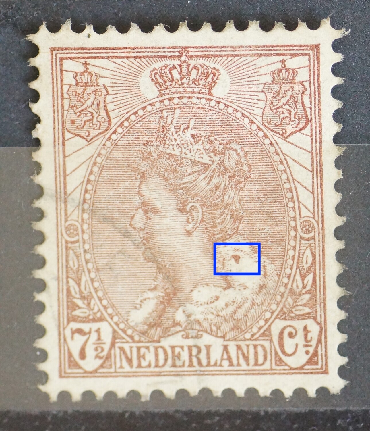 NVPH 61 - bruine vlek in bontkraag