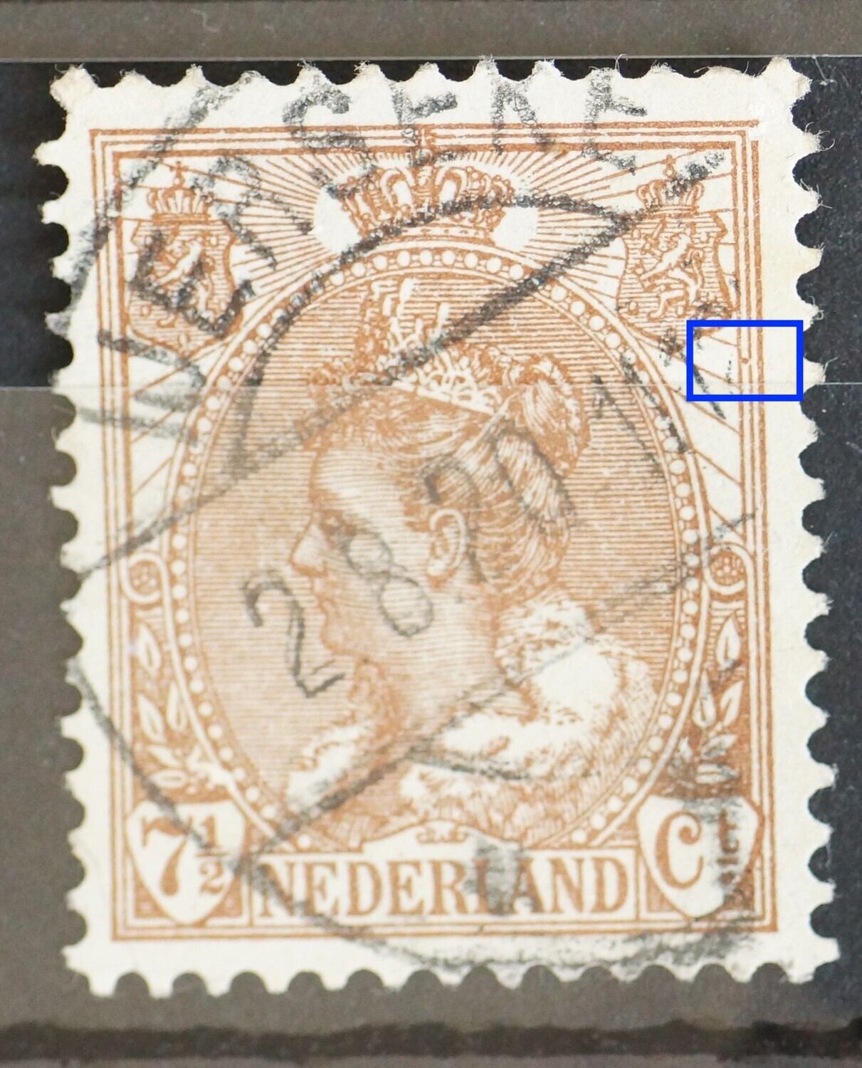 NVPH 61 - bruine punt tussen kaderlijnen rechts
