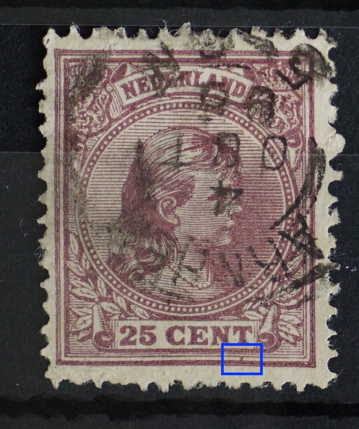 NVPH 42 - violette punt tussen kaderlijnen onder de T van CENT