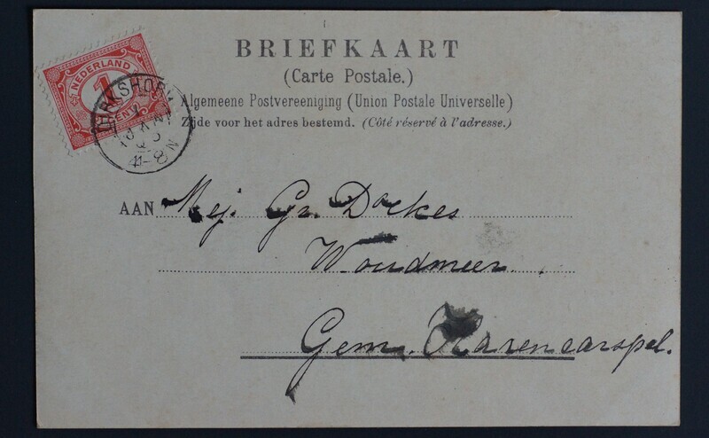 Dirkshorn op NVPH 51 op mooie AK Geulem Dirkshorn op NVPH 51 op mooie AK Geulem